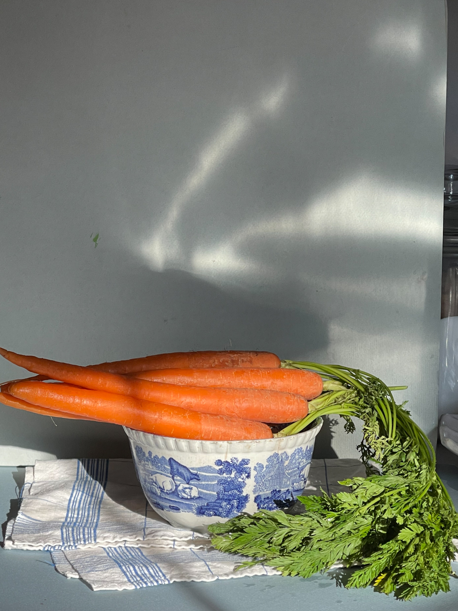 bundle-of-carrots-in-bowl-sitting-on-towel