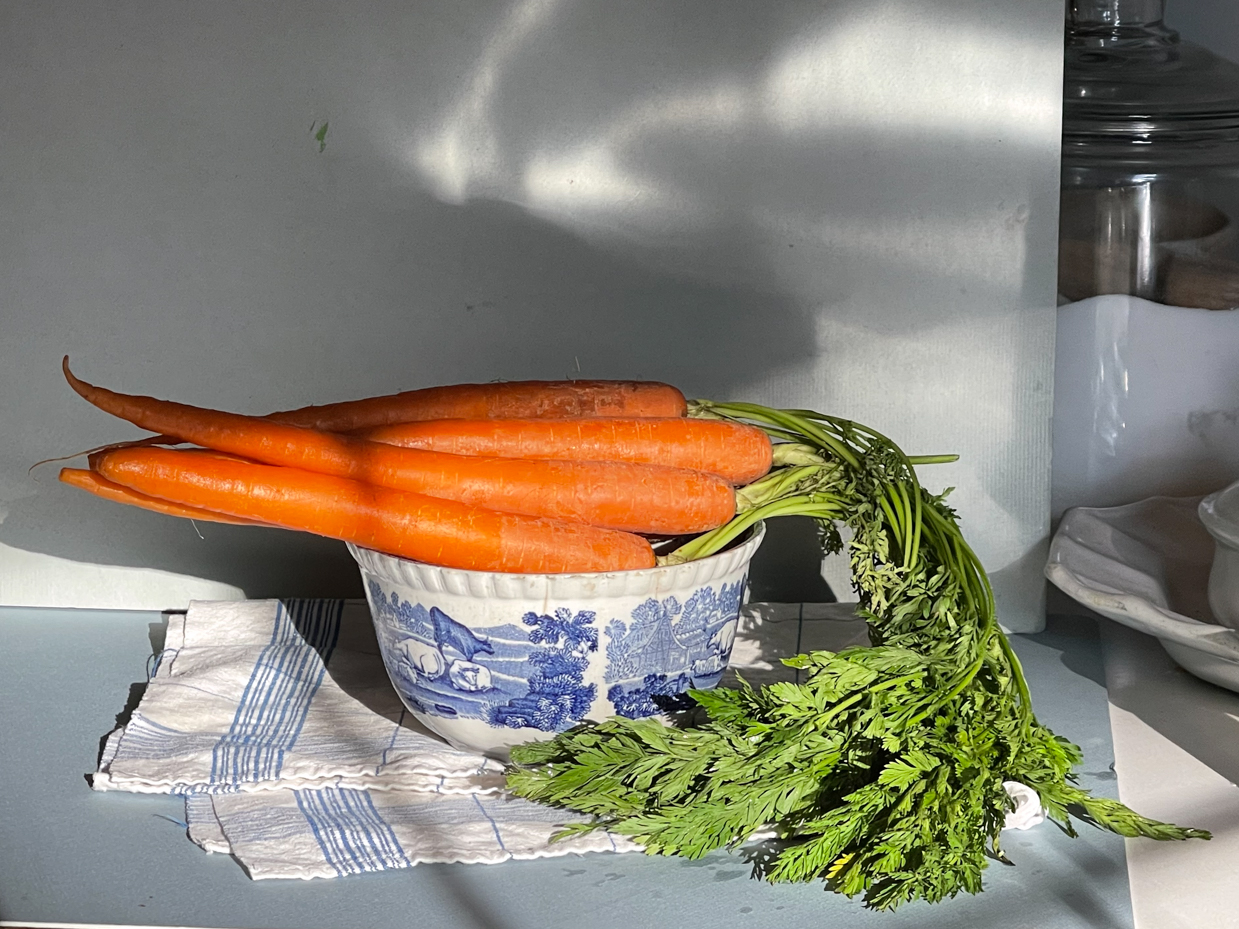 bundle-of-carrots-in-bowl-with-towel