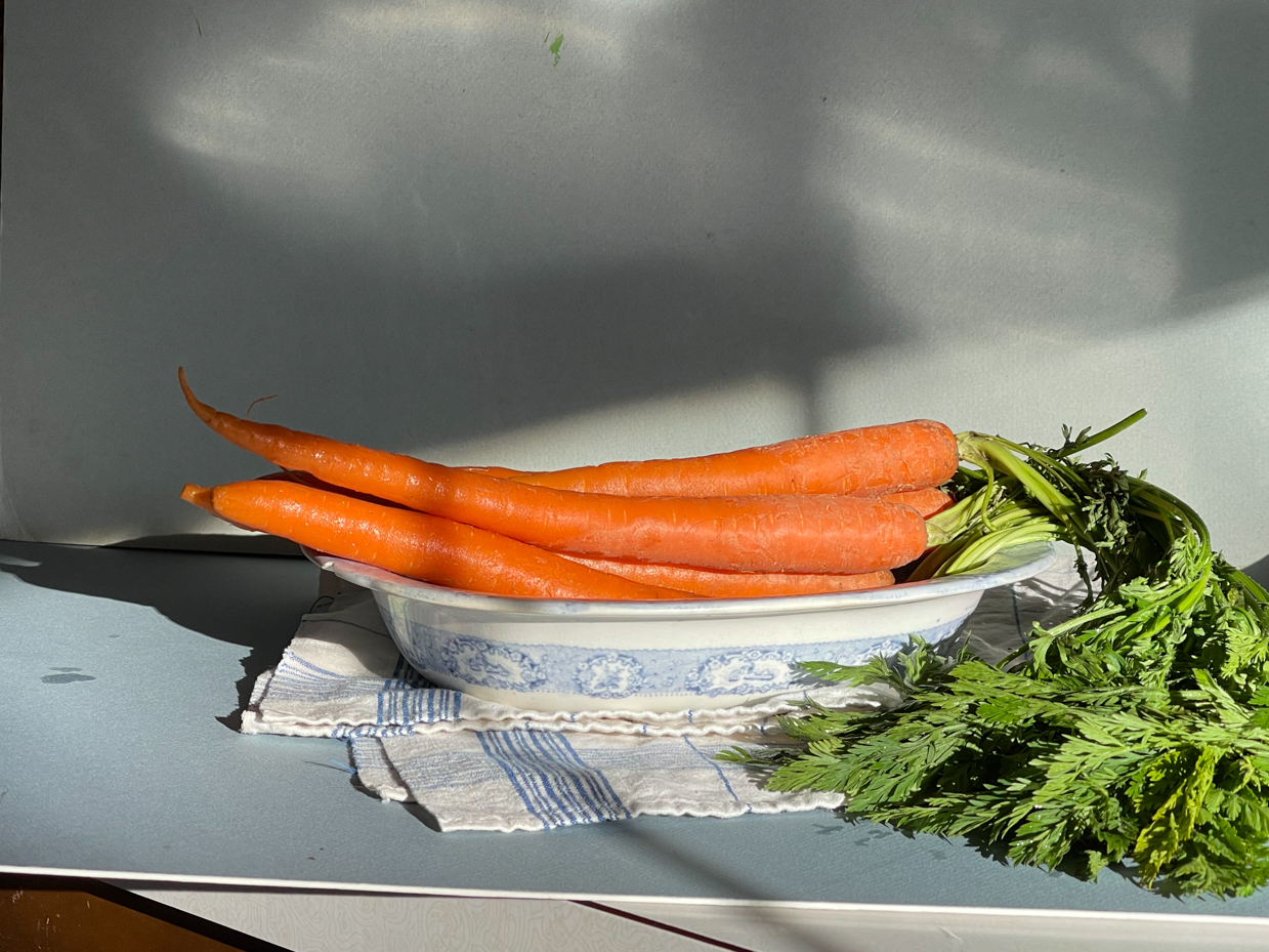 bundle-of-carrots-in-dish