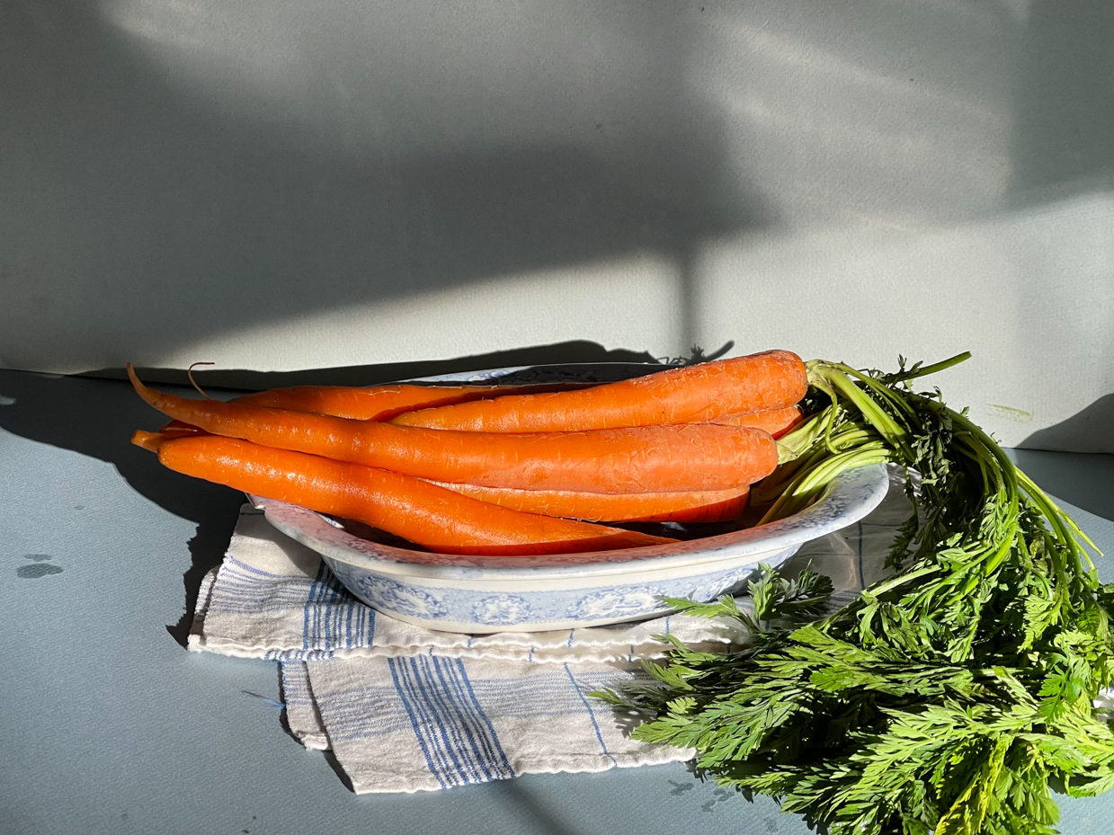 bundle-of-carrots-in-dish-with-tea-towel