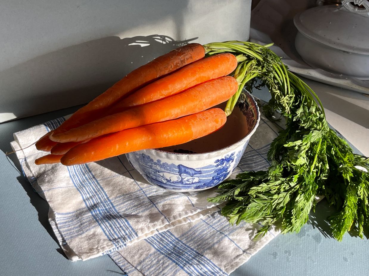 bundle-of-carrots-overhead-view