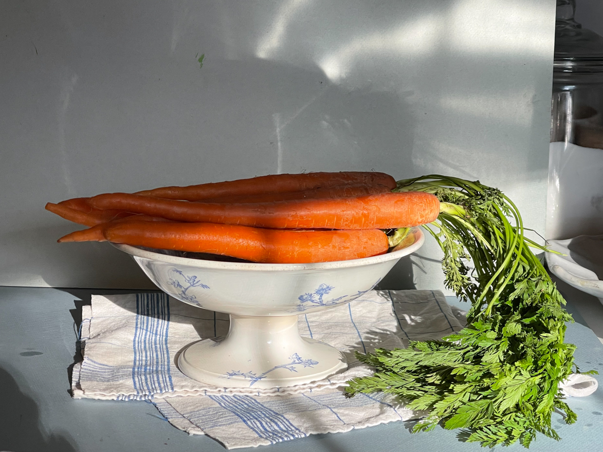 bundle-of-carrots