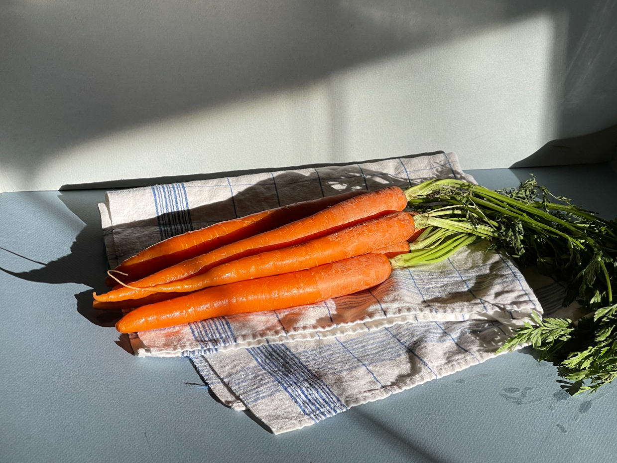 carrots-on-towel