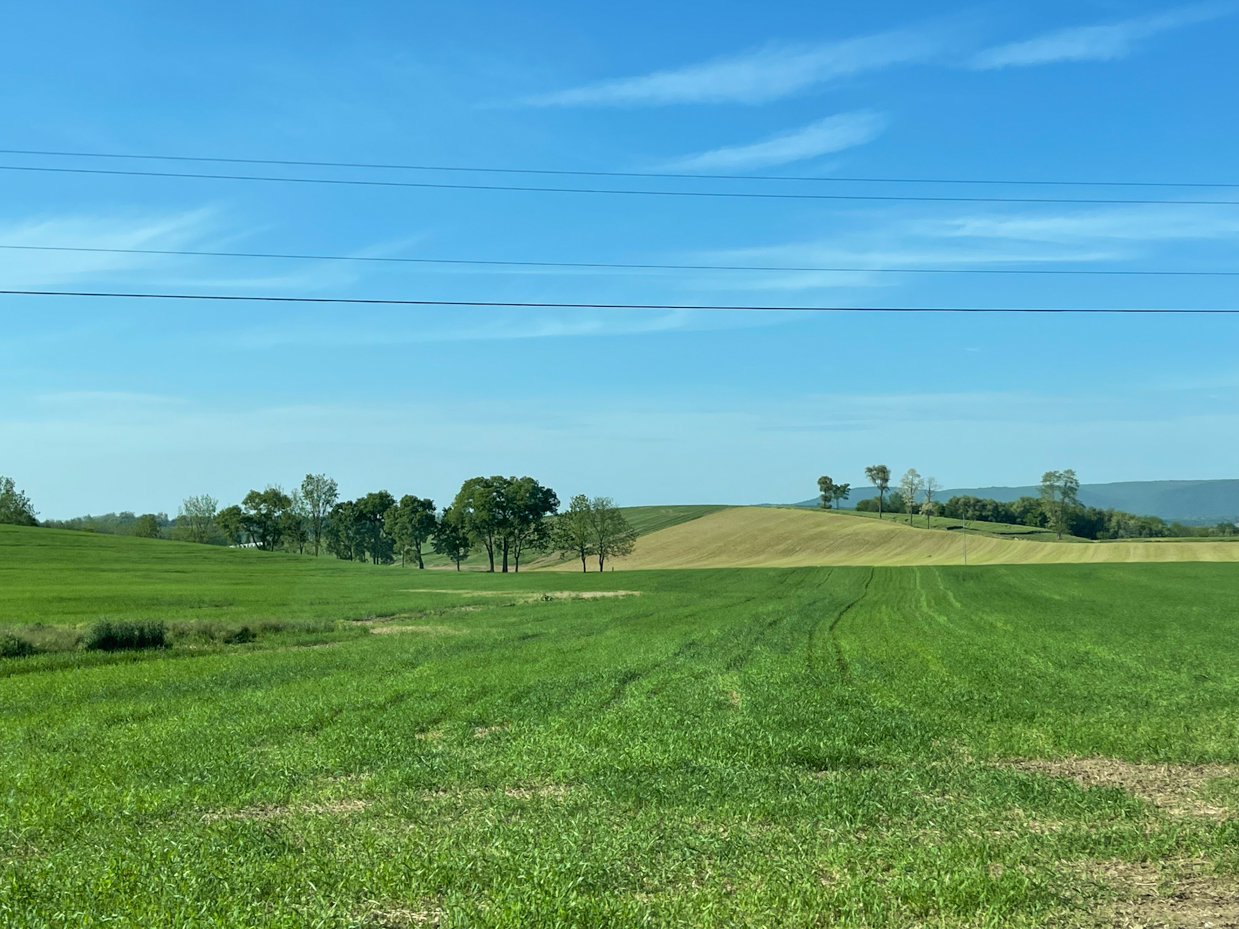 farm-field-with-tress-and-clouds