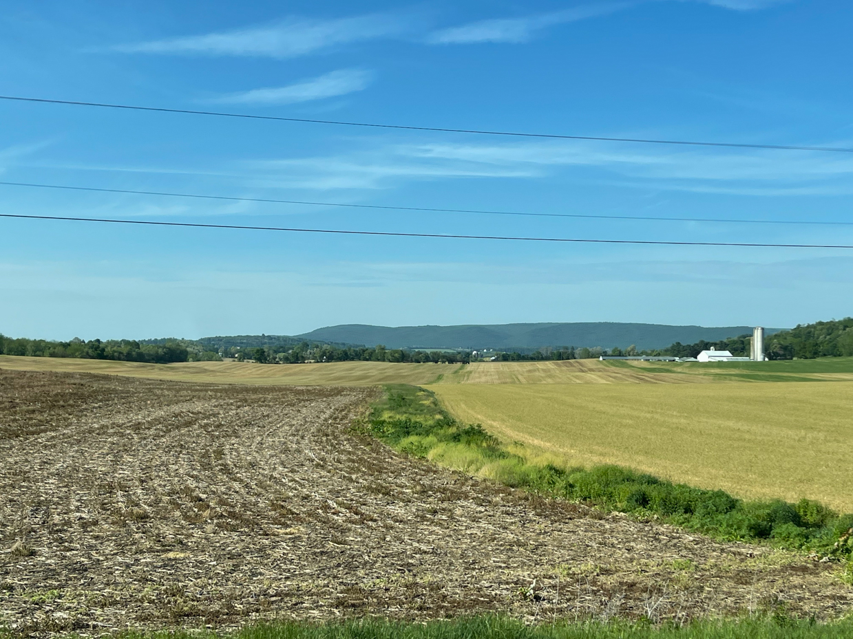 farm-fields