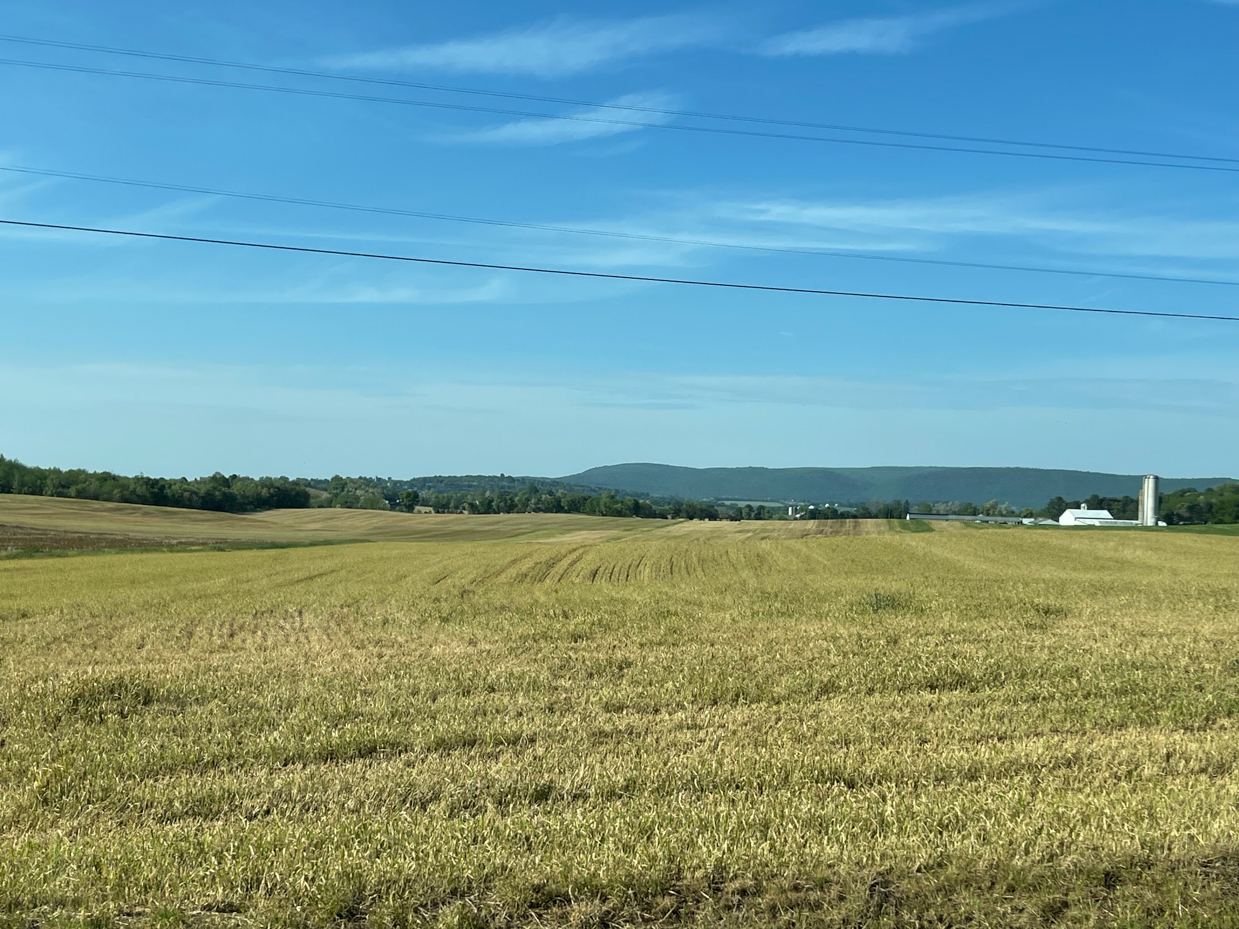 farm-fields