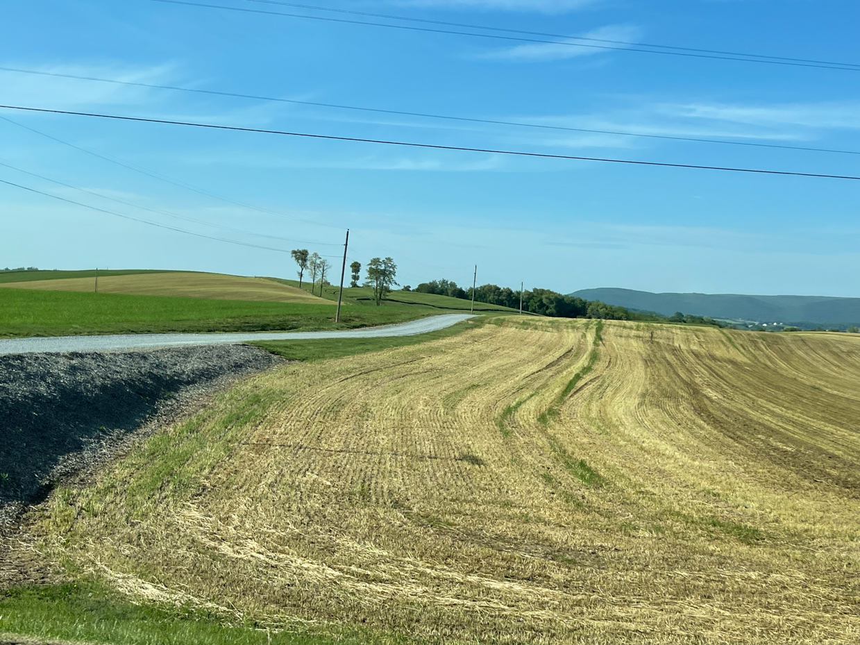 farm-fields-with-road