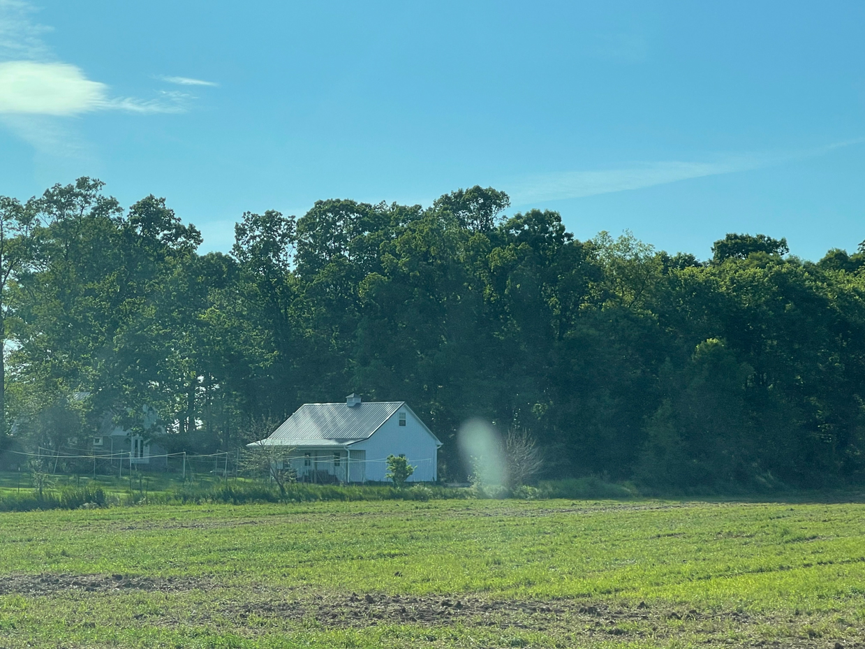 farmhouse-surrounded-by-trees