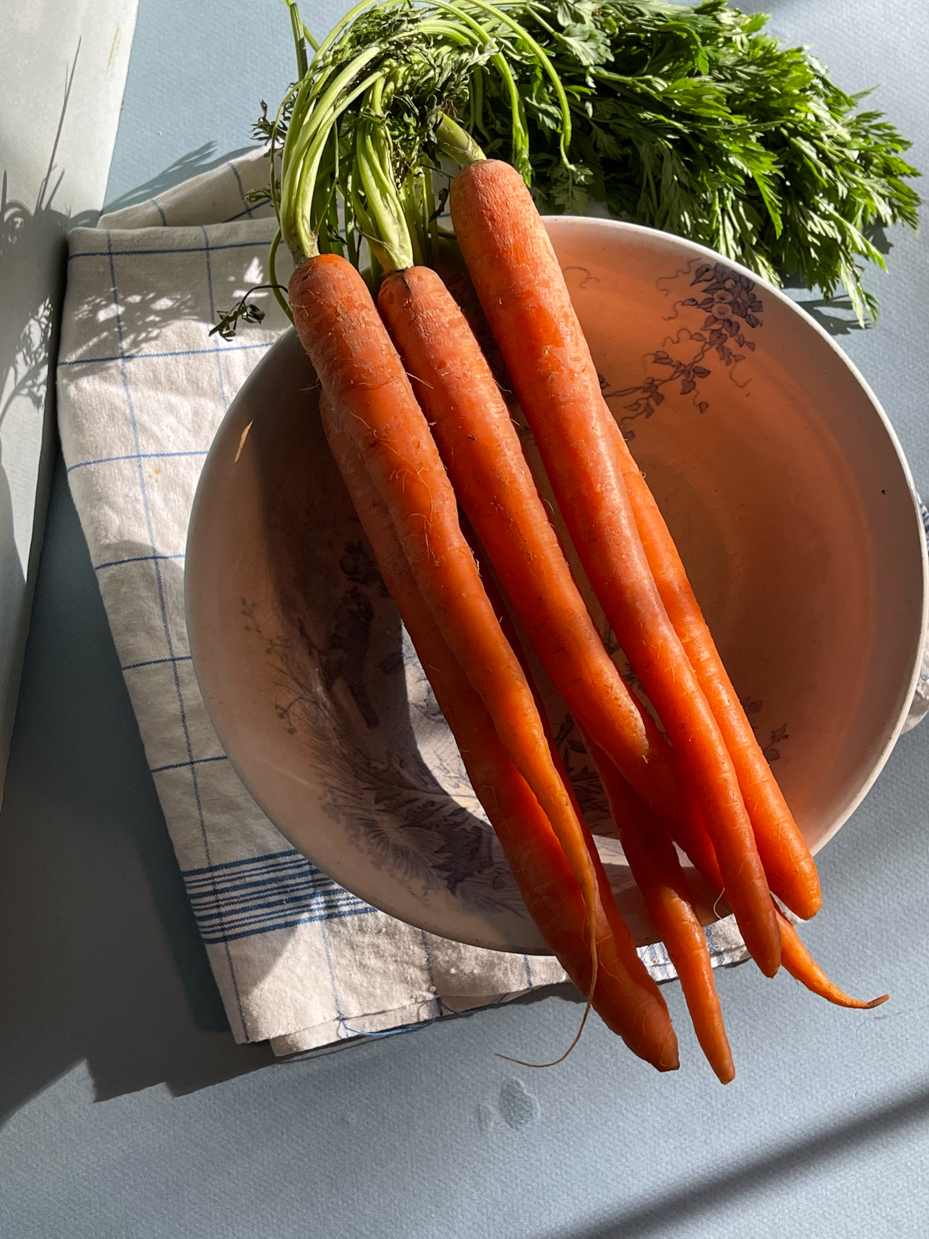 flat-lay-carrots-in-dish