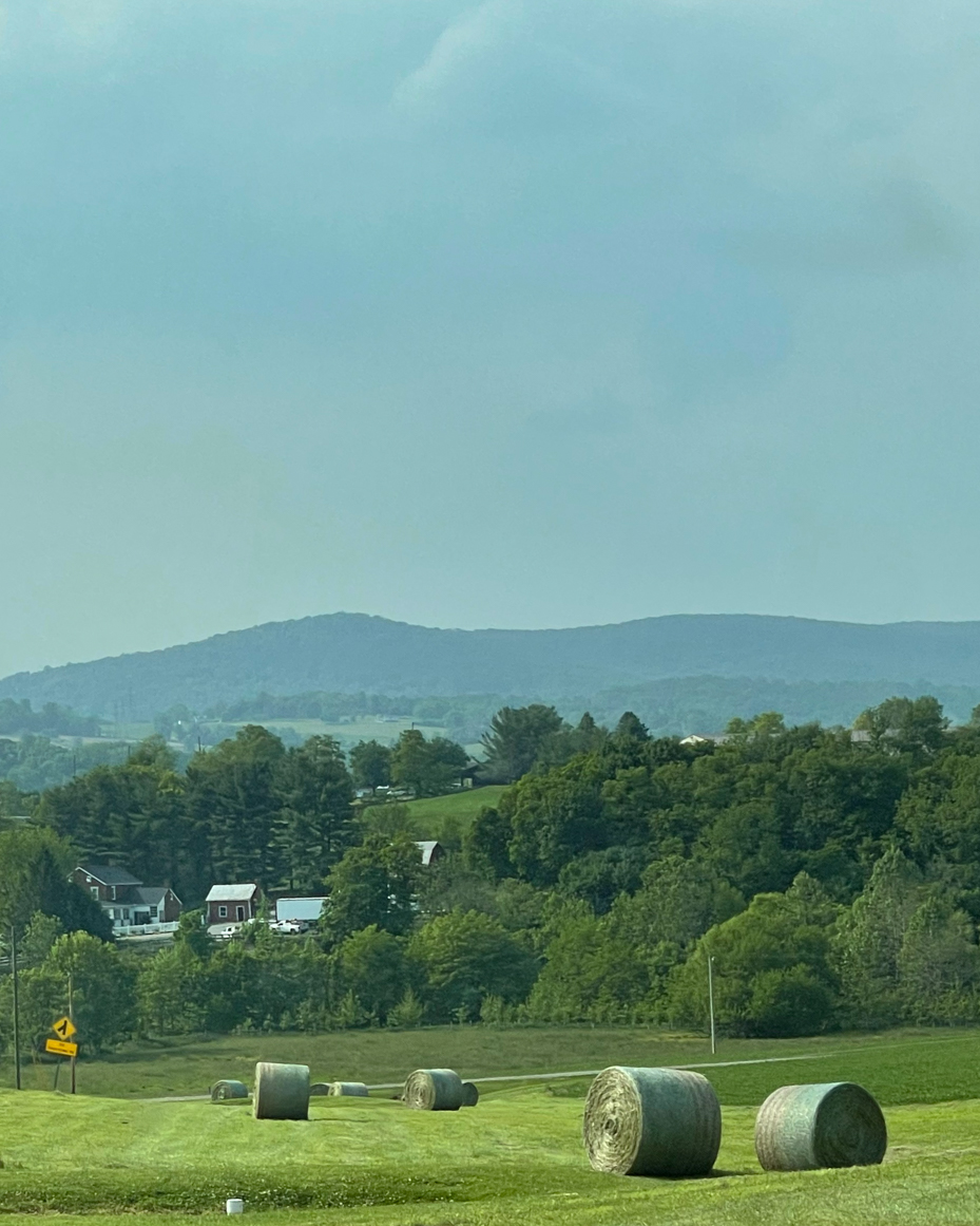 hay-bales-rolling-hills-and-trees