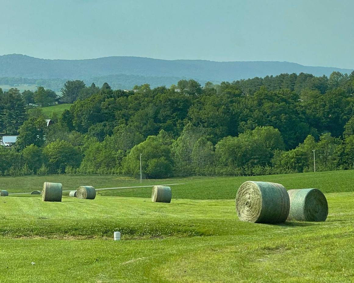 hay-bales-with-trees