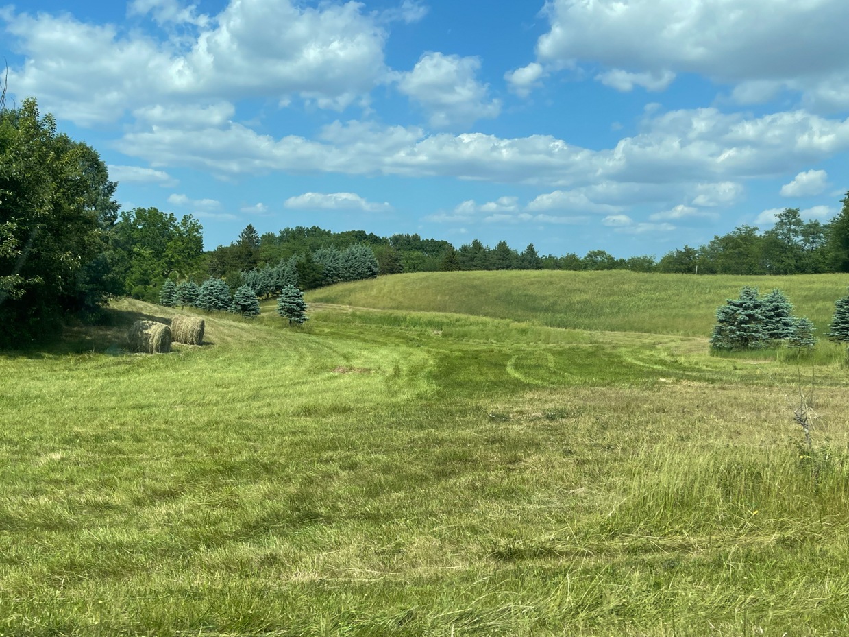 rolling-hills-with-trees-and-clouds-in-sky