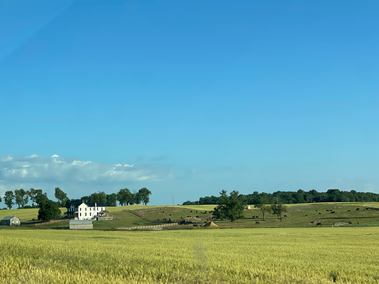 blue-skies-with-farm-house-and-fields