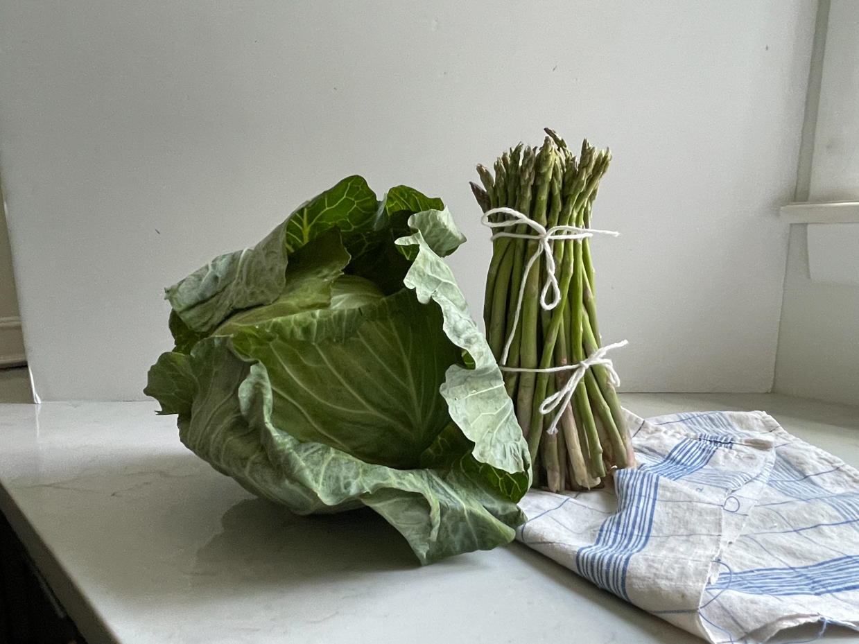 cabbage-asparagus-standing-on-towel