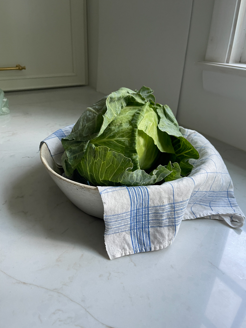 cabbage-in-bowl