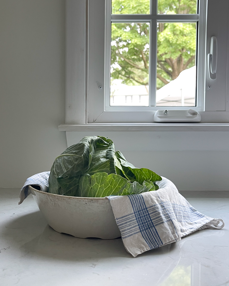 cabbage-in-bowl-with-towel