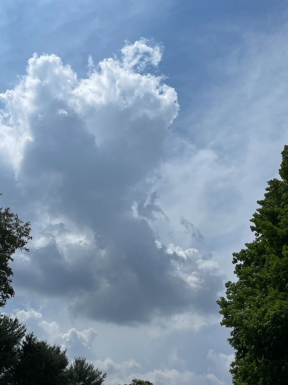 clouds-in-sky-with-trees