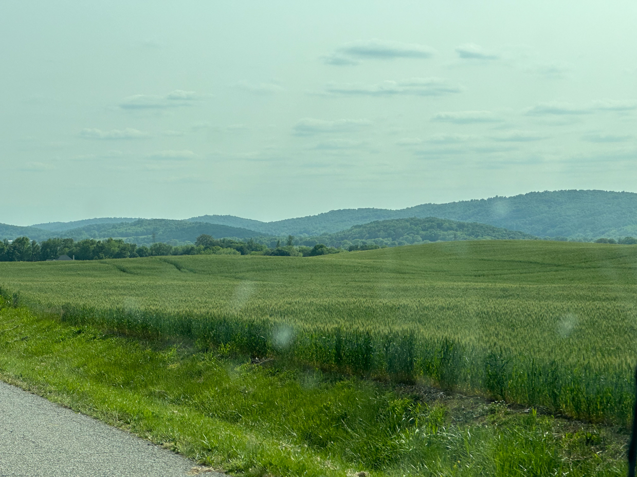 corn-fields-with-rolling-hills-and-road