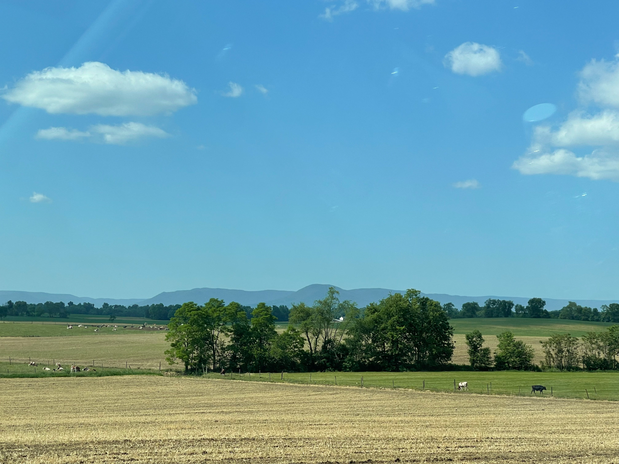 farm-fields-with-trees-and-rolling-hills