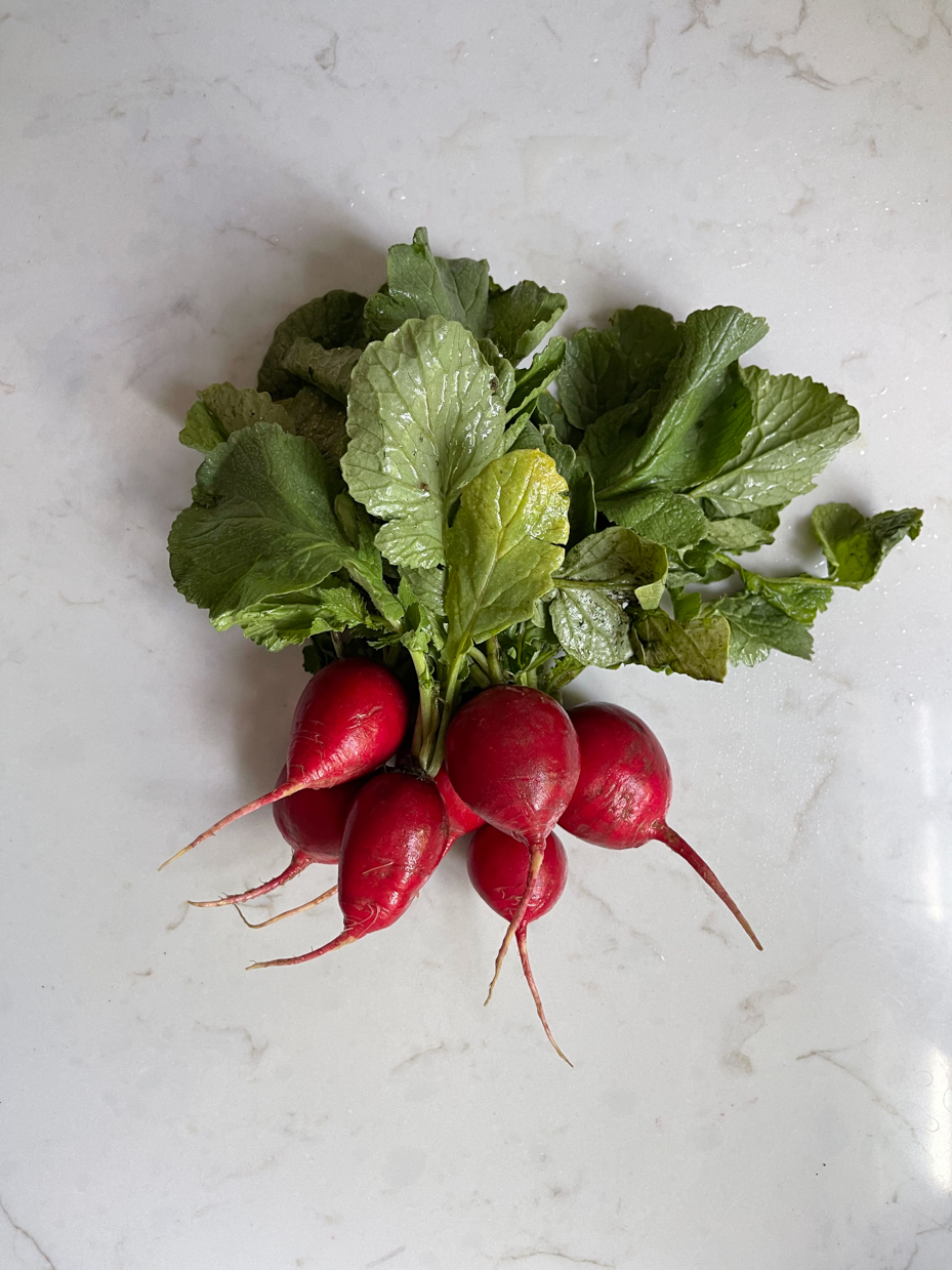 flat-lay-radishes