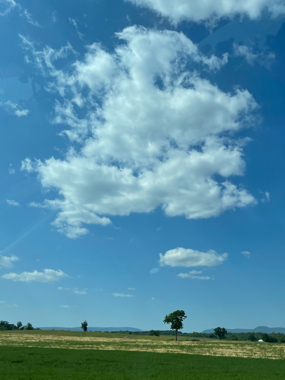 tall-clouds-in-blue-sky-with-field-and-tree