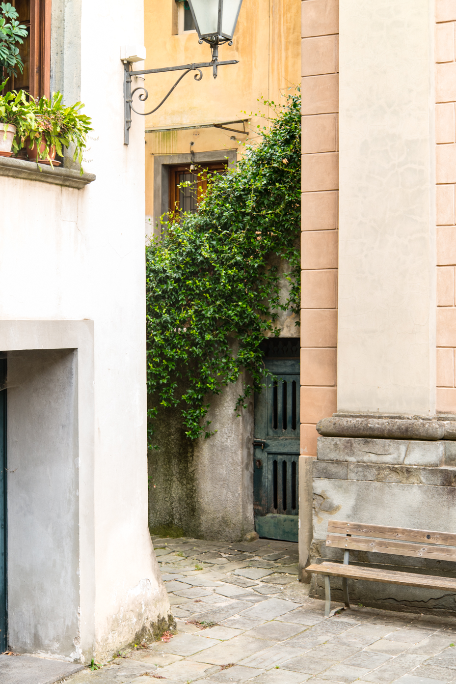 alley-with-greenery