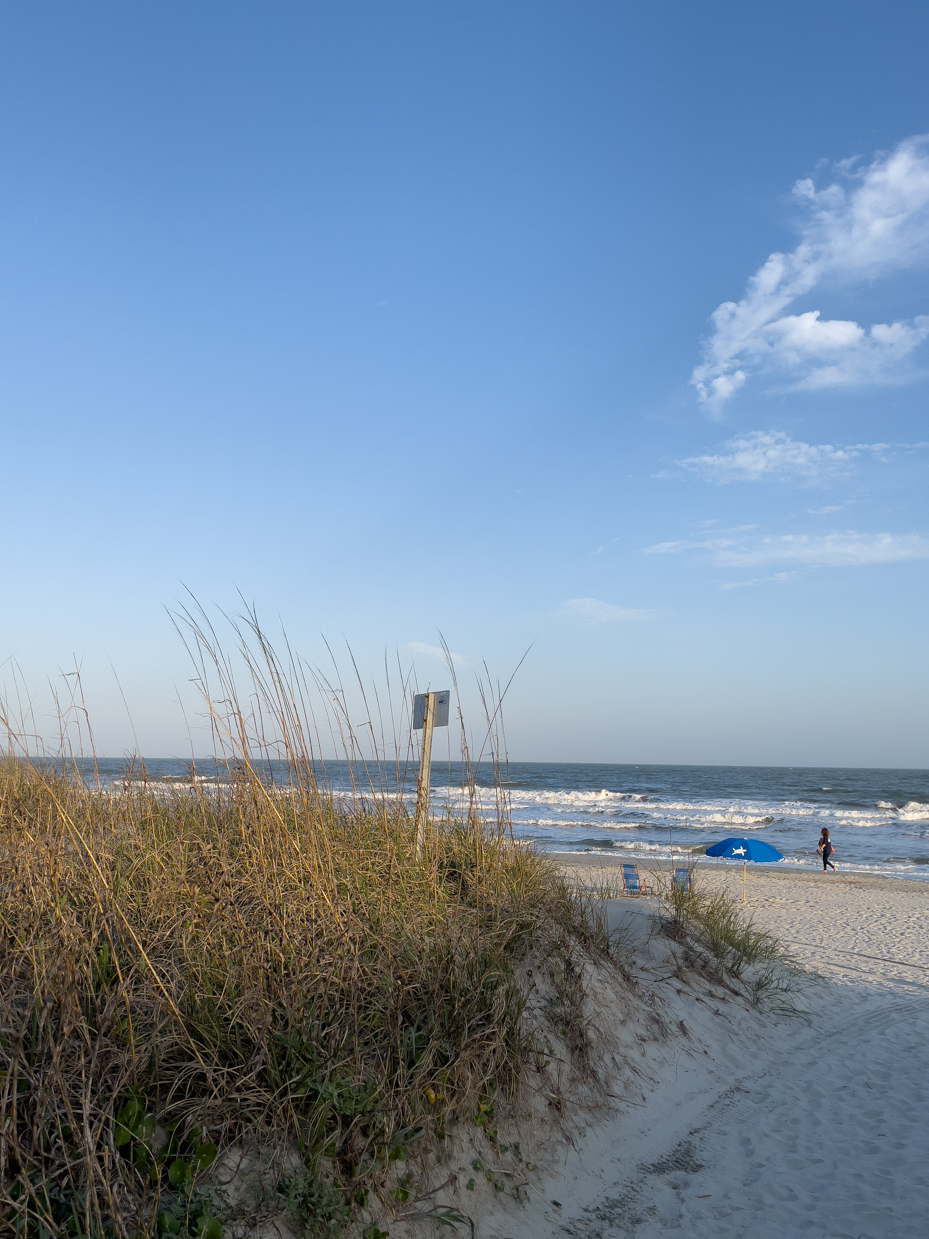 beach-grass-with-waves