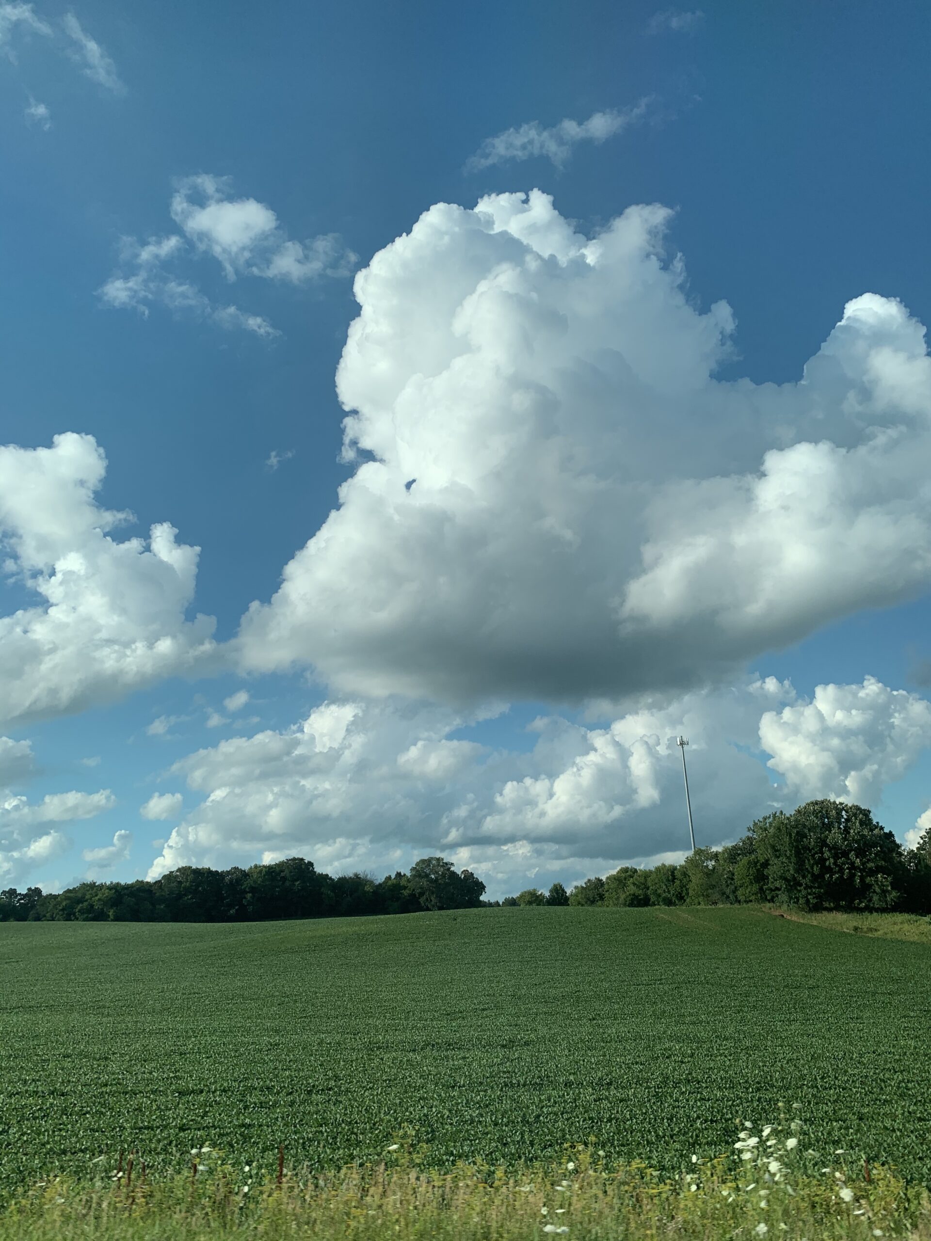 cloud-of-fields