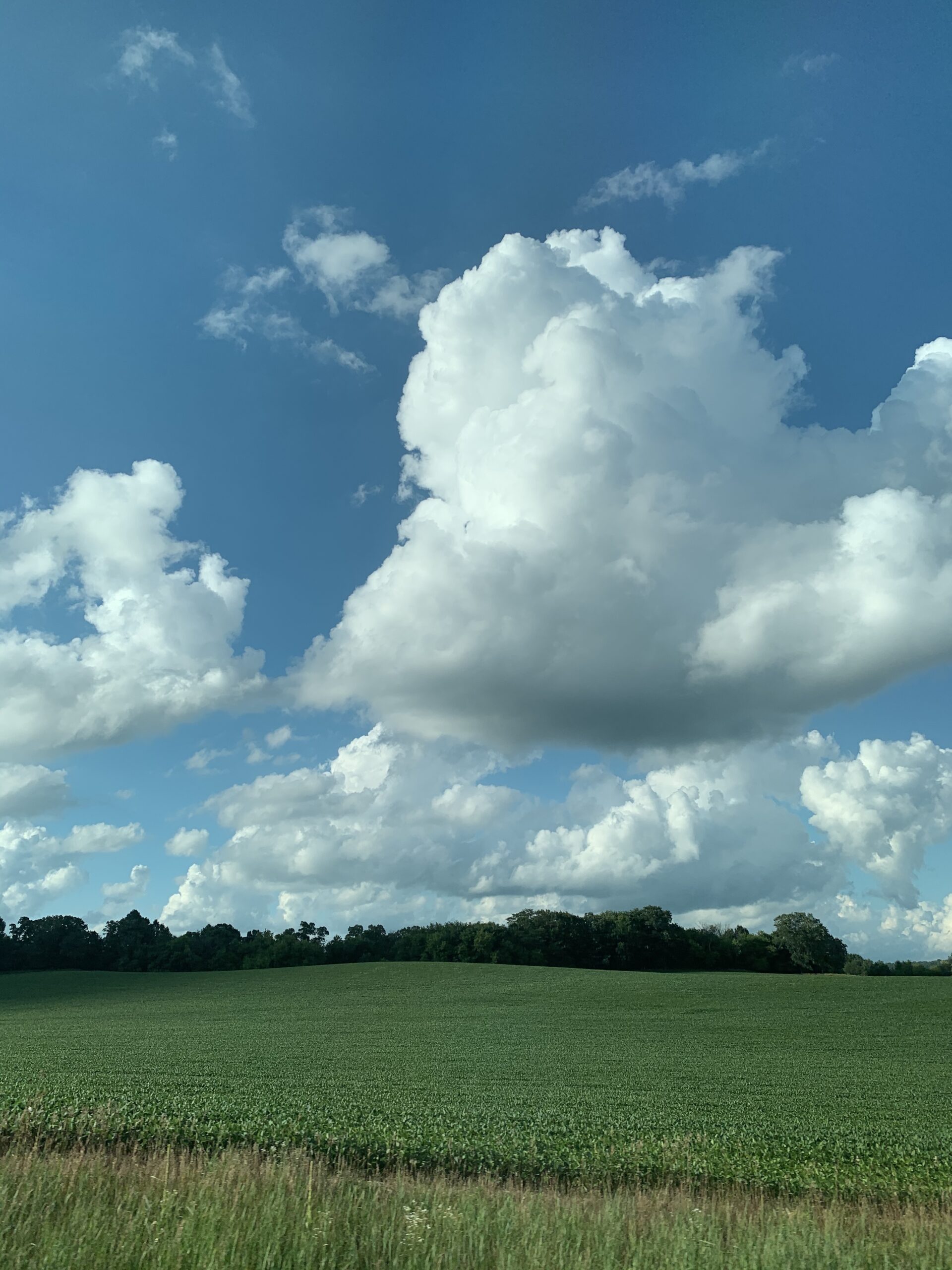 Clouds over fields blue sky artist reference photo