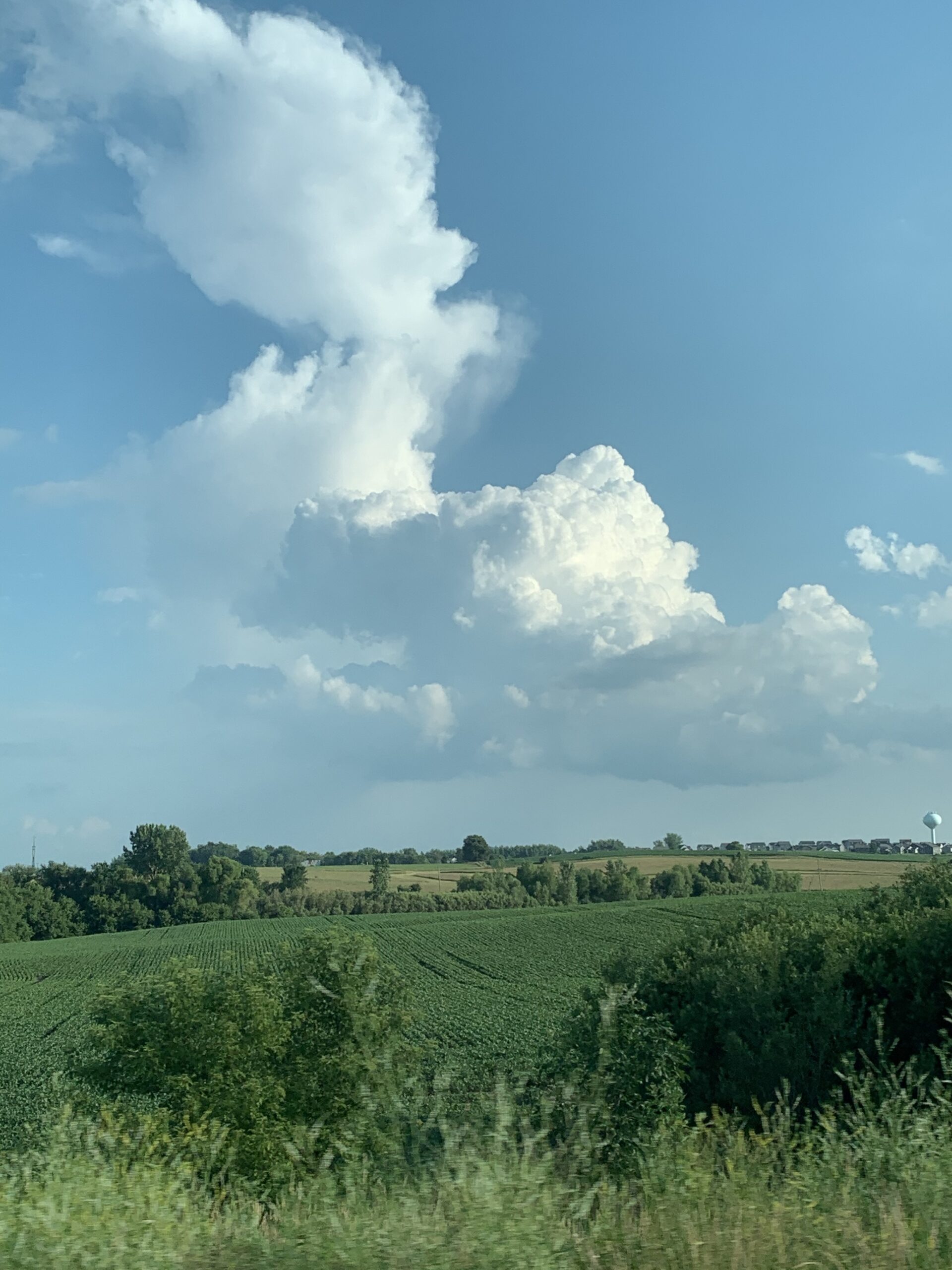 cloud-with-fields-and-trees