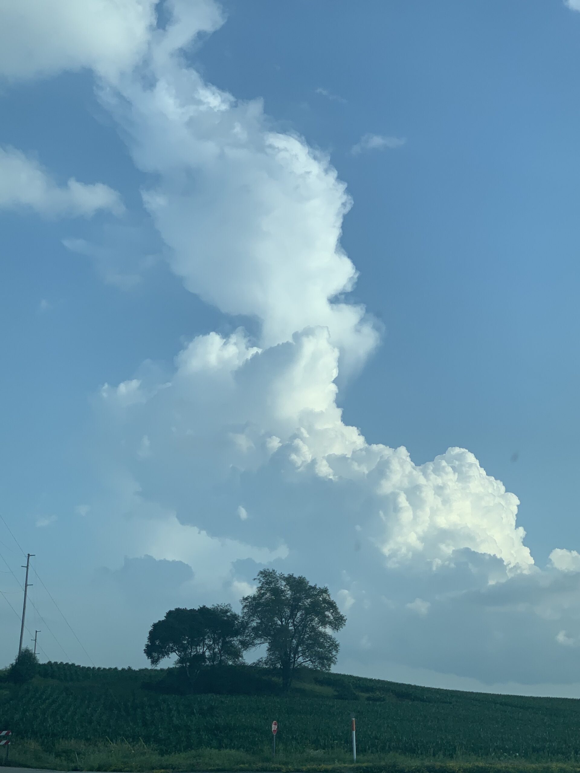 clouds-with-trees