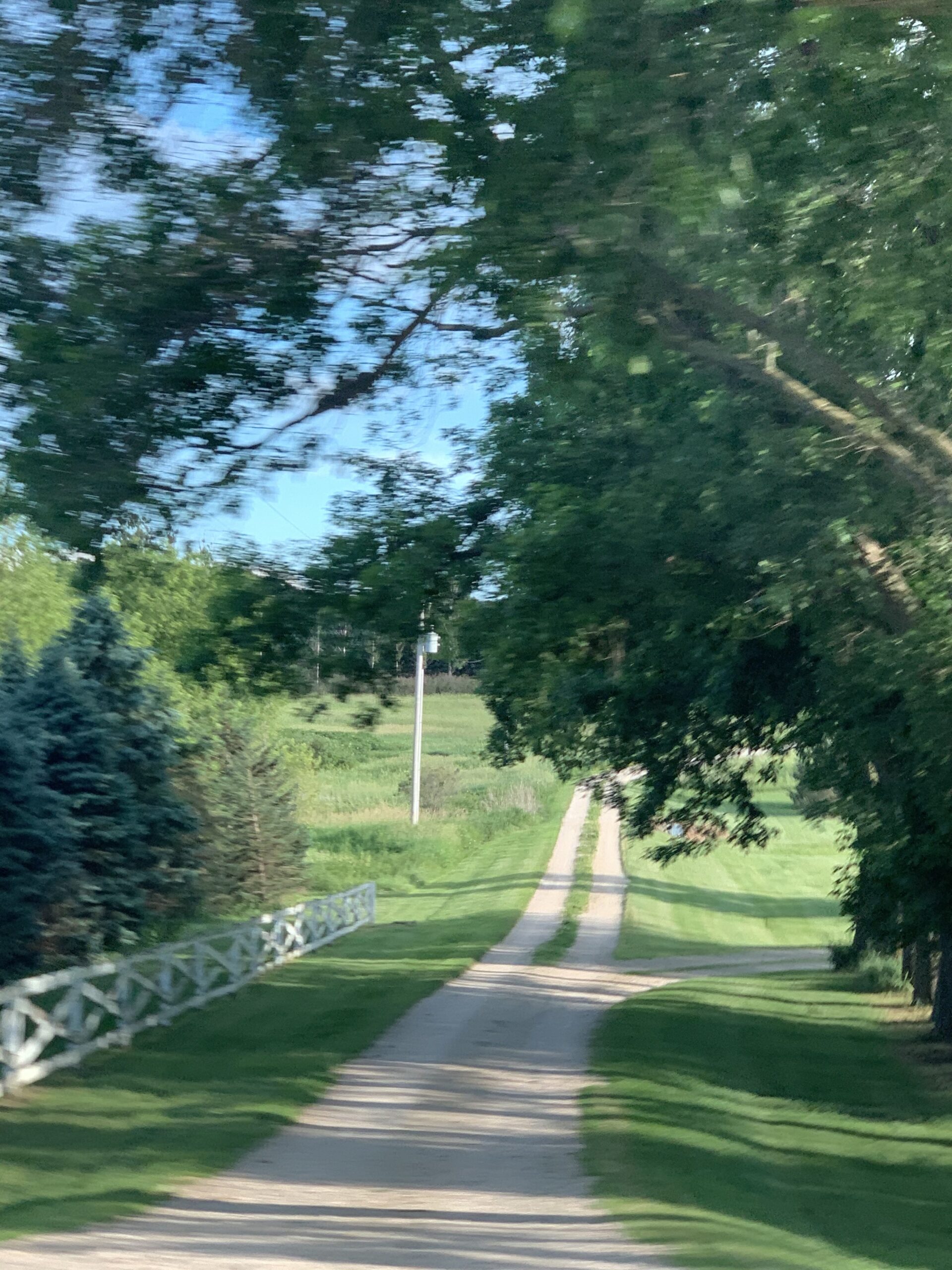 dirt-road-with-trees