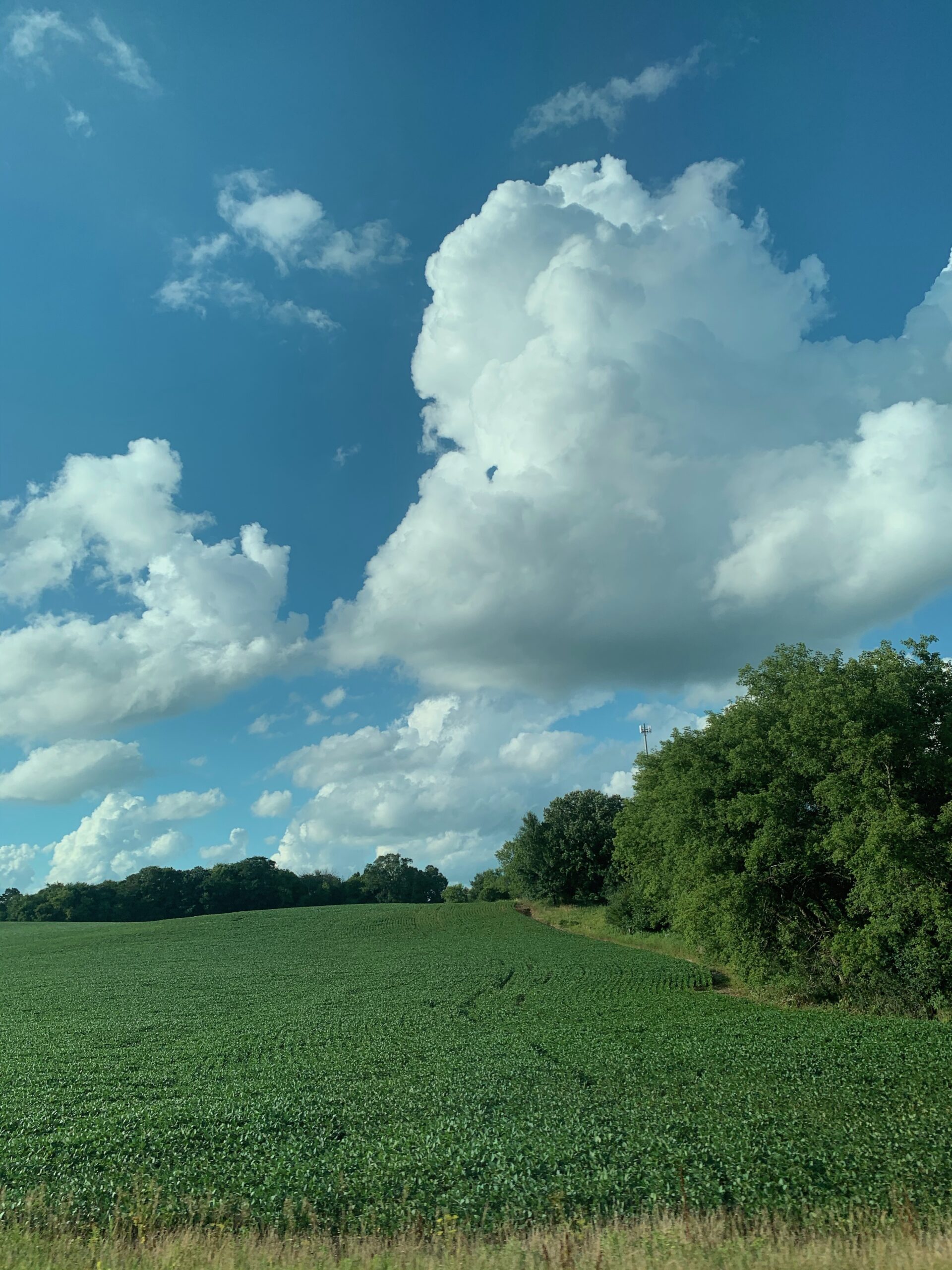 Farm Fields with Clouds and Trees artist reference photo