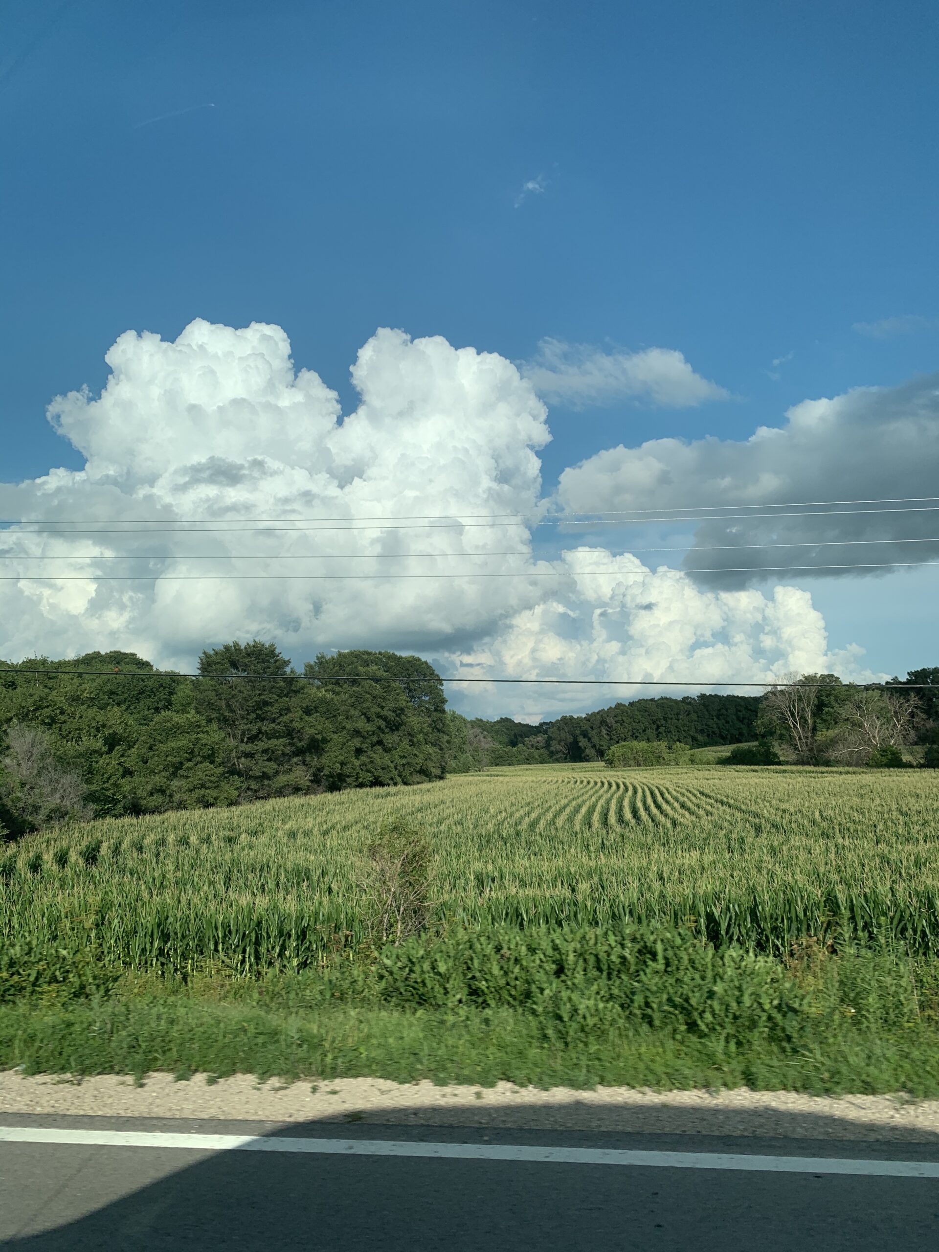 farm-fields-with-trees-and-clouds