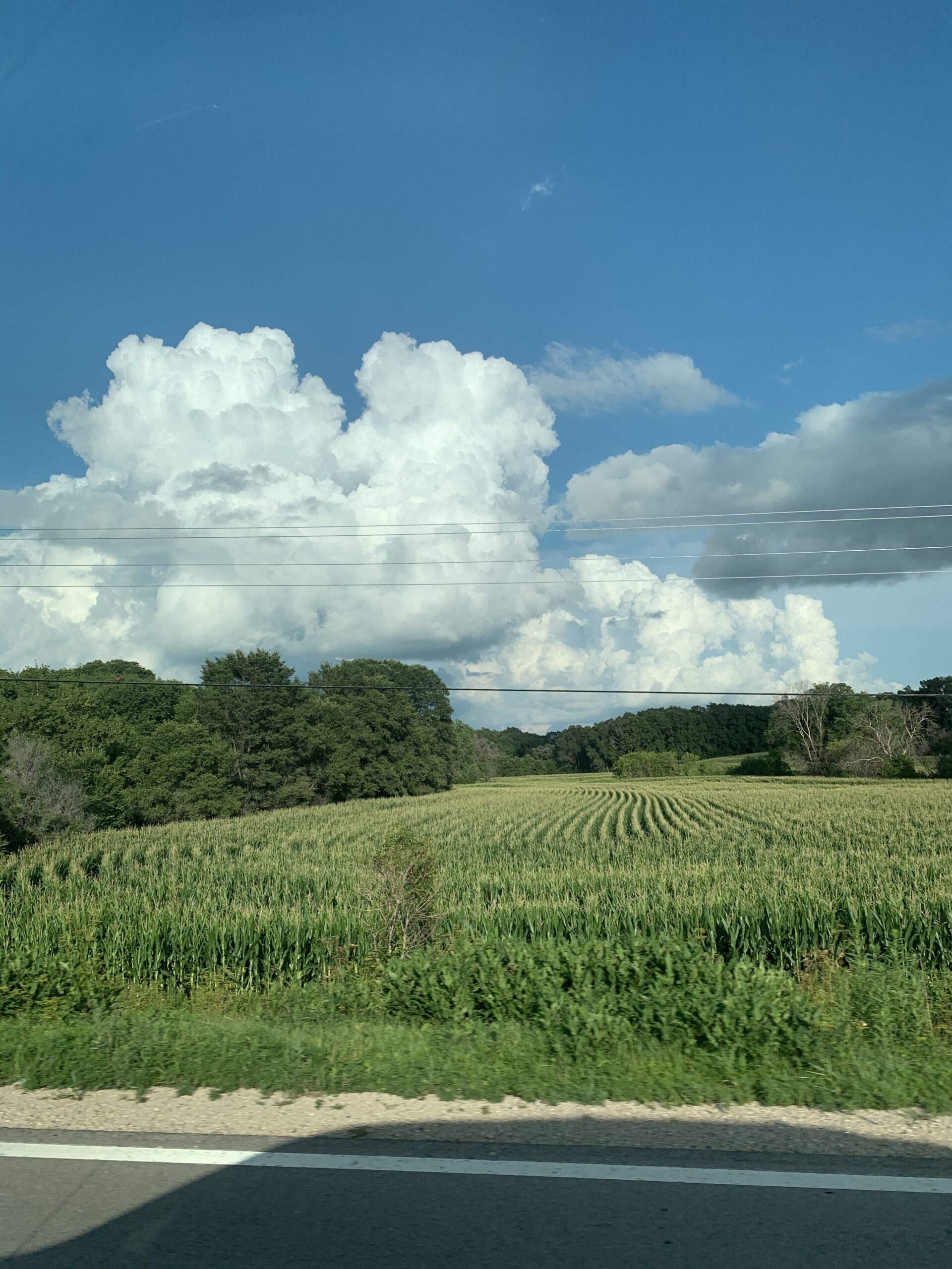 Farm Fields with Trees and Clouds artist reference photo