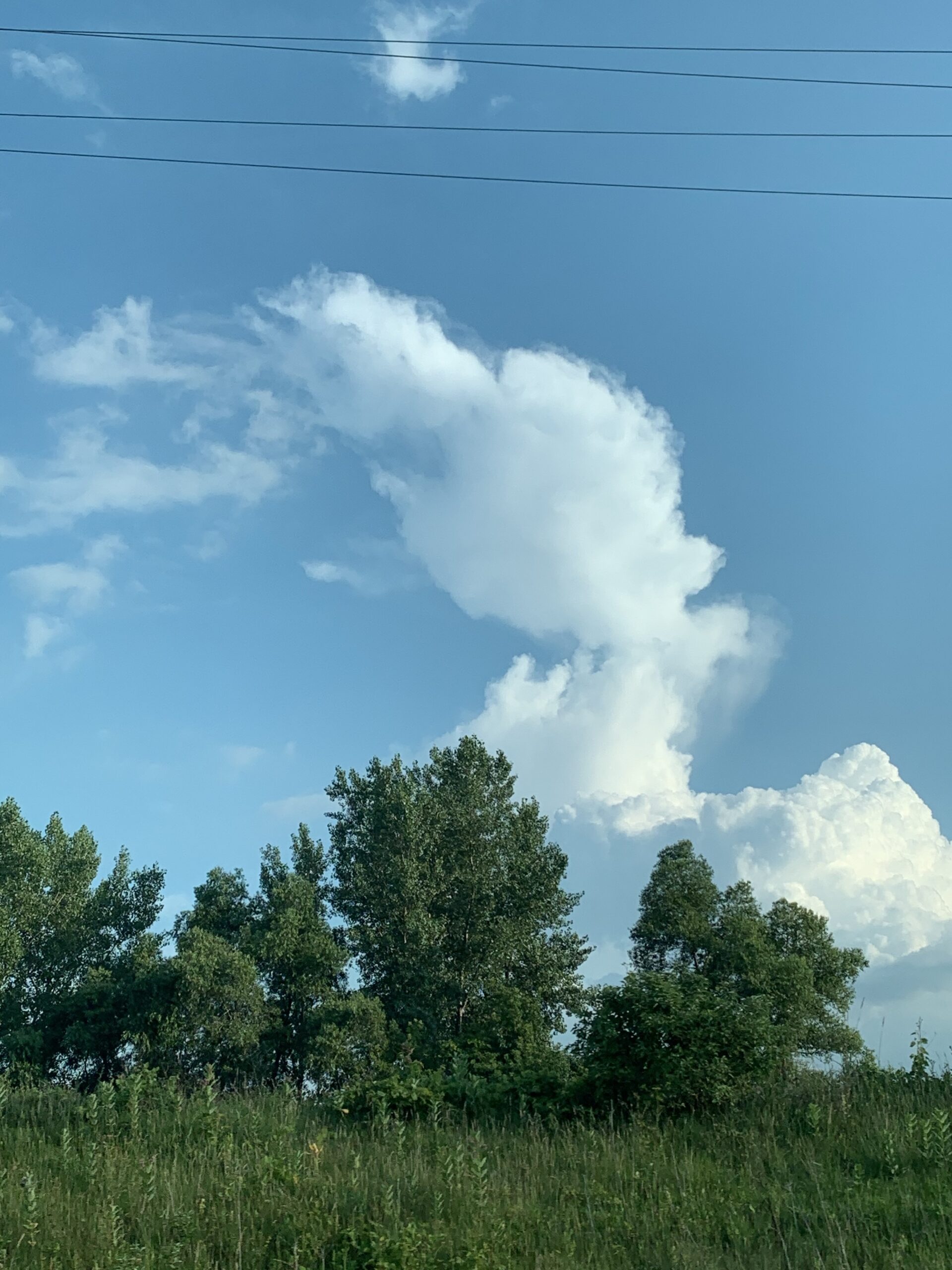 trees-and-clouds