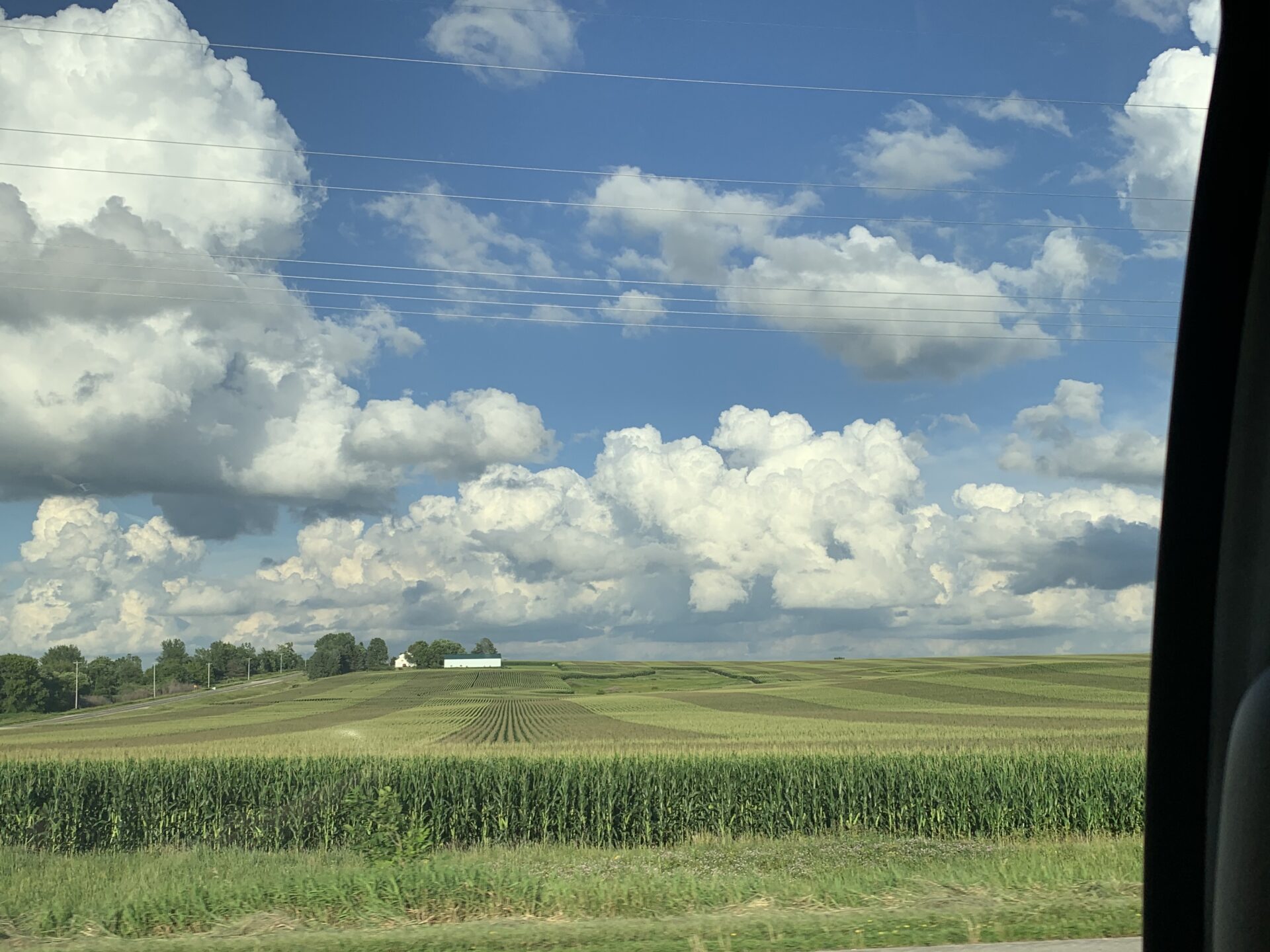 farm-fields