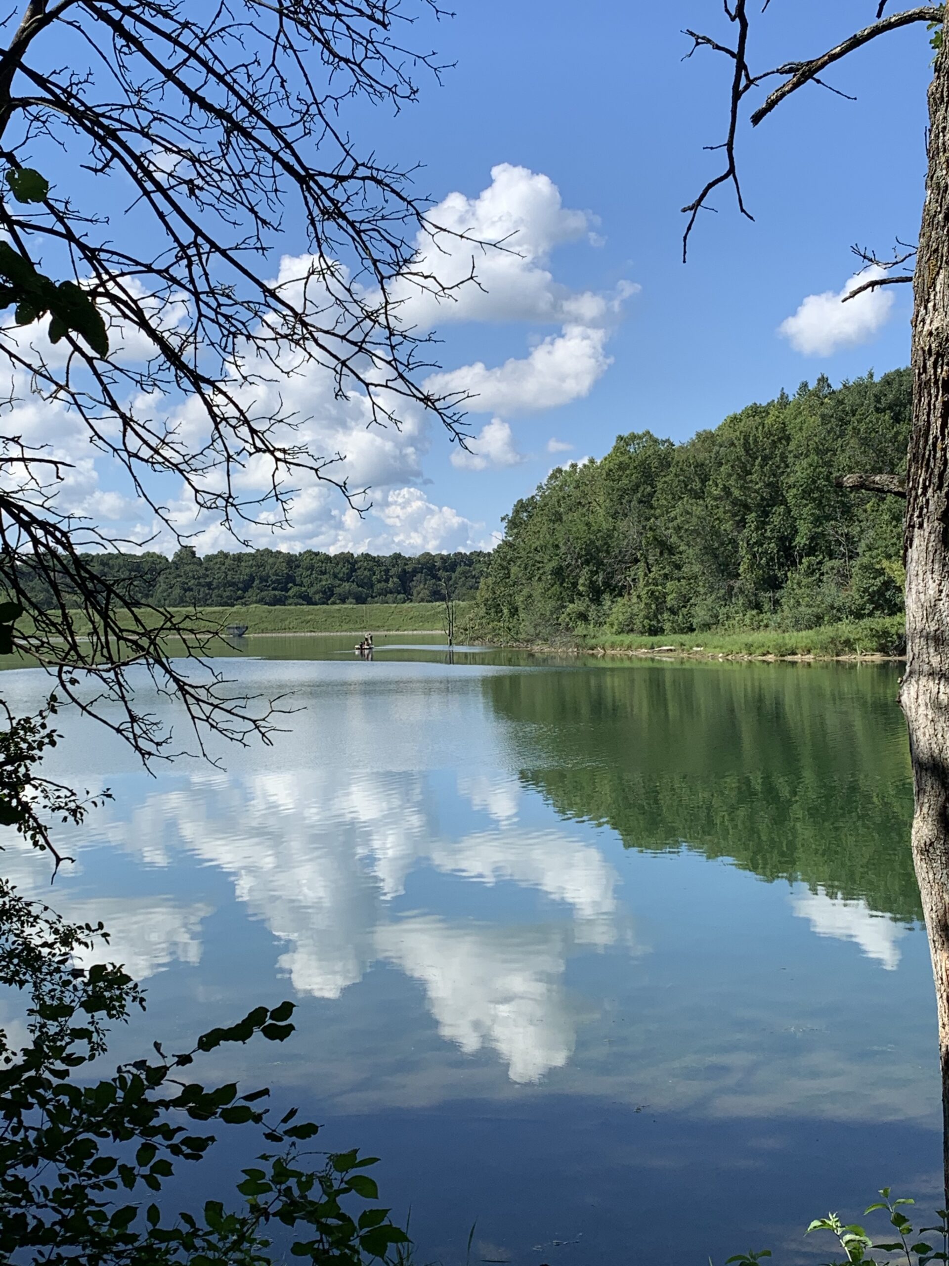 lake-surrounded-by-trees