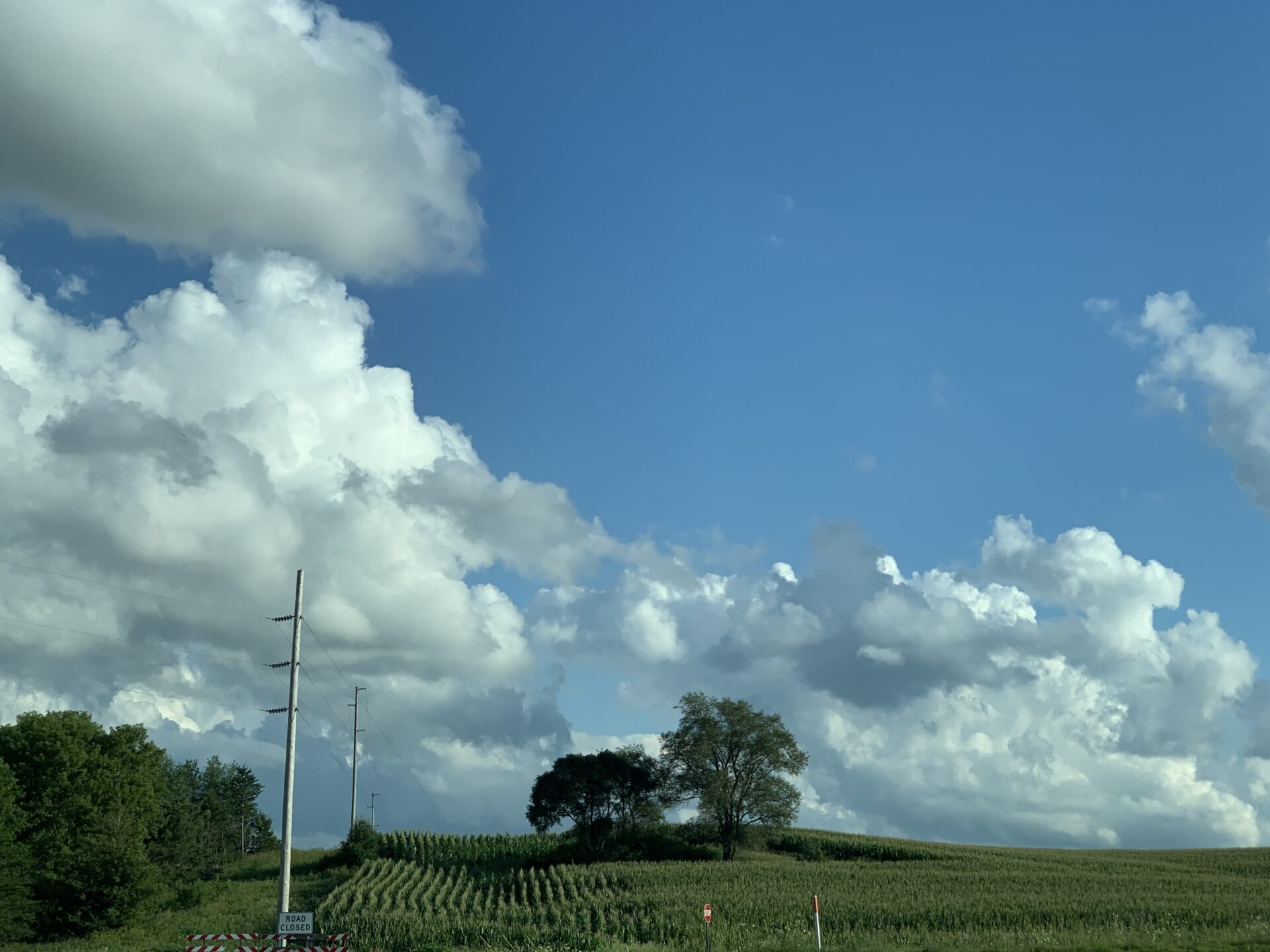 large-clouds-over-trees