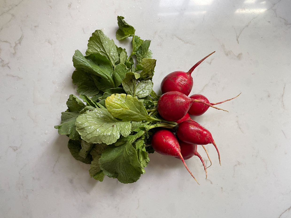 radishes