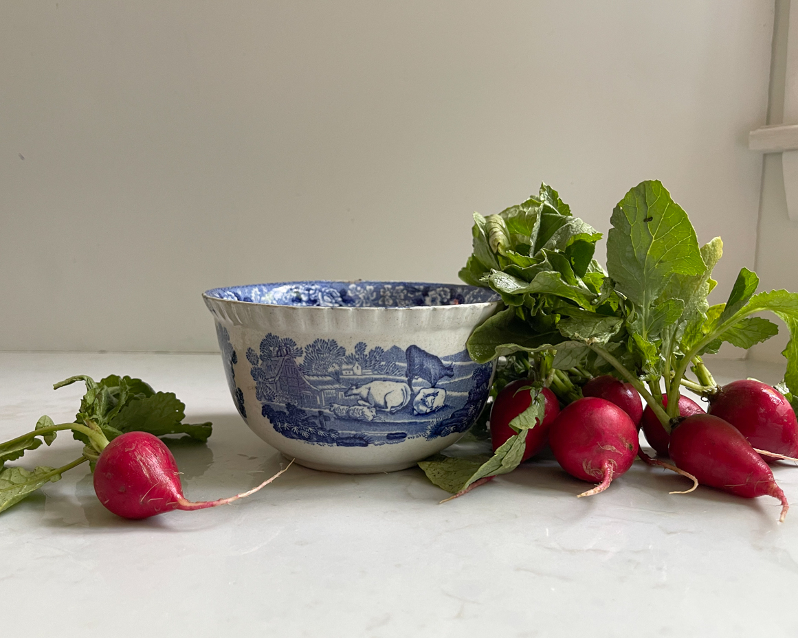 radish-next-to-bowl