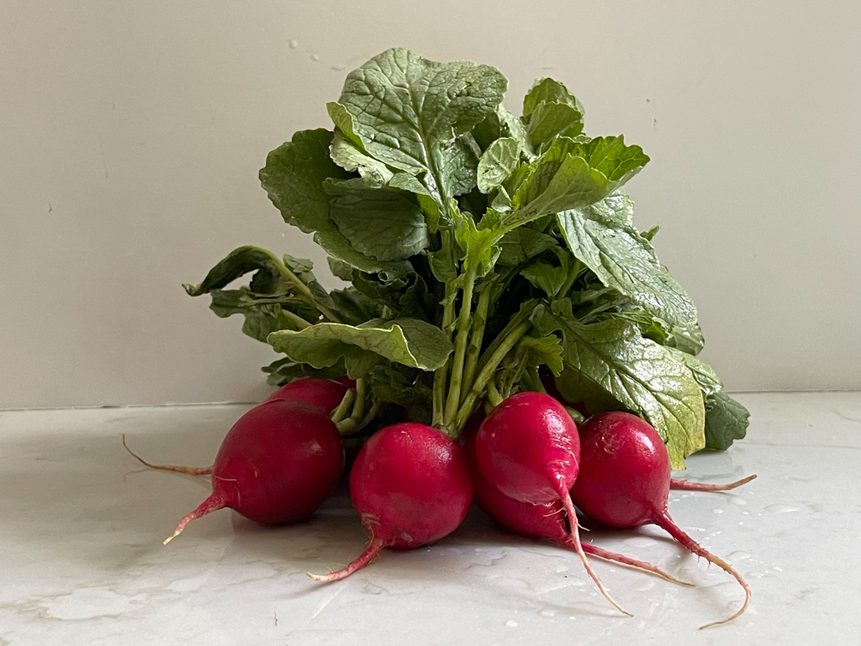 radishes