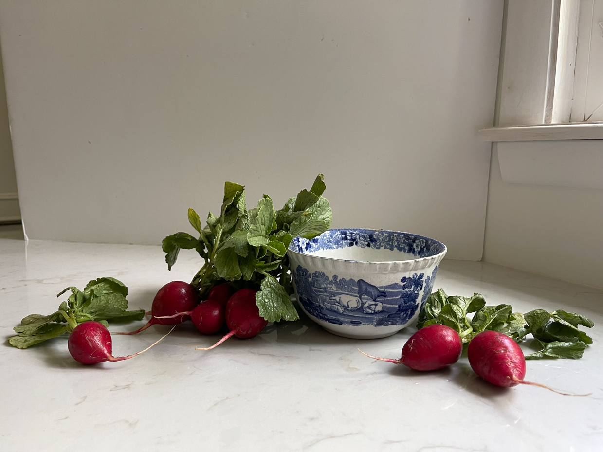 radishes-next-to-bowl