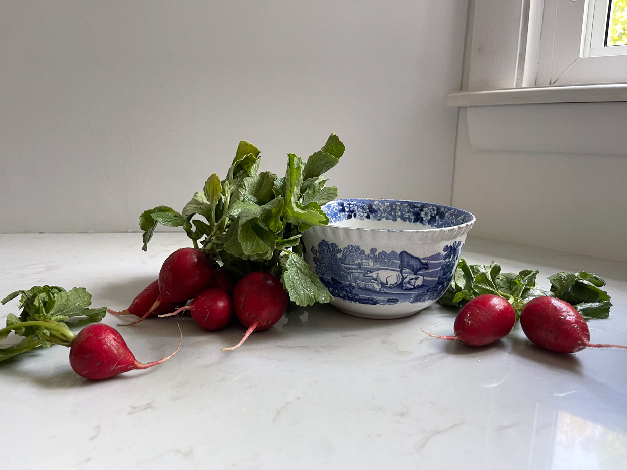 radishes-next-to-bowl