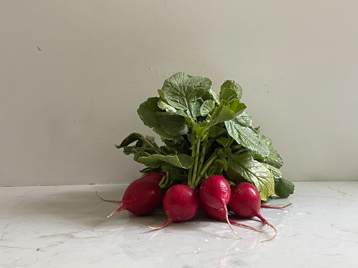 radishes-on-counter