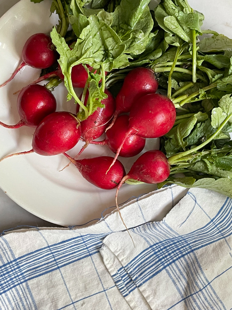 radishes-on-plate