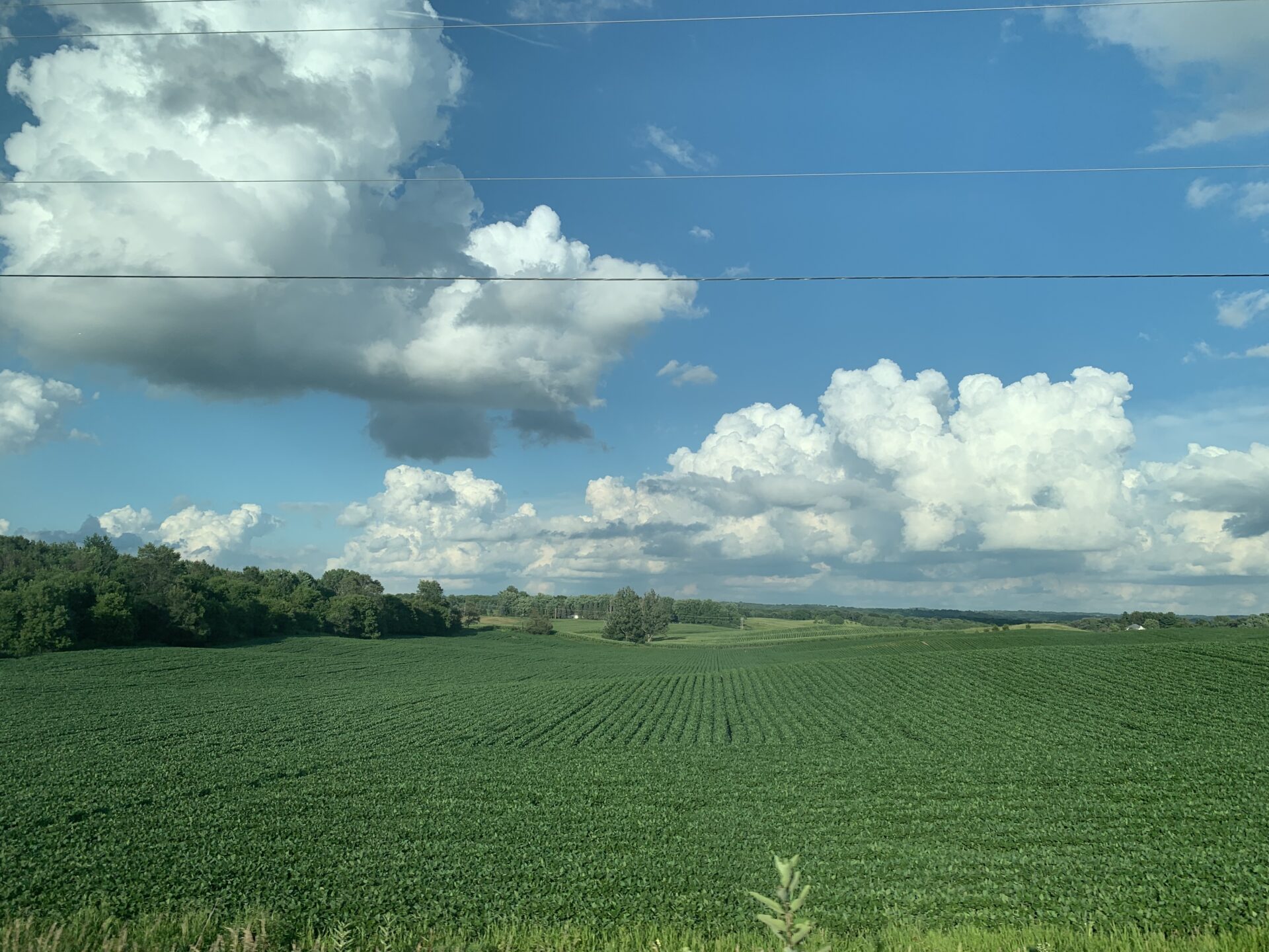 wide-farm-fields