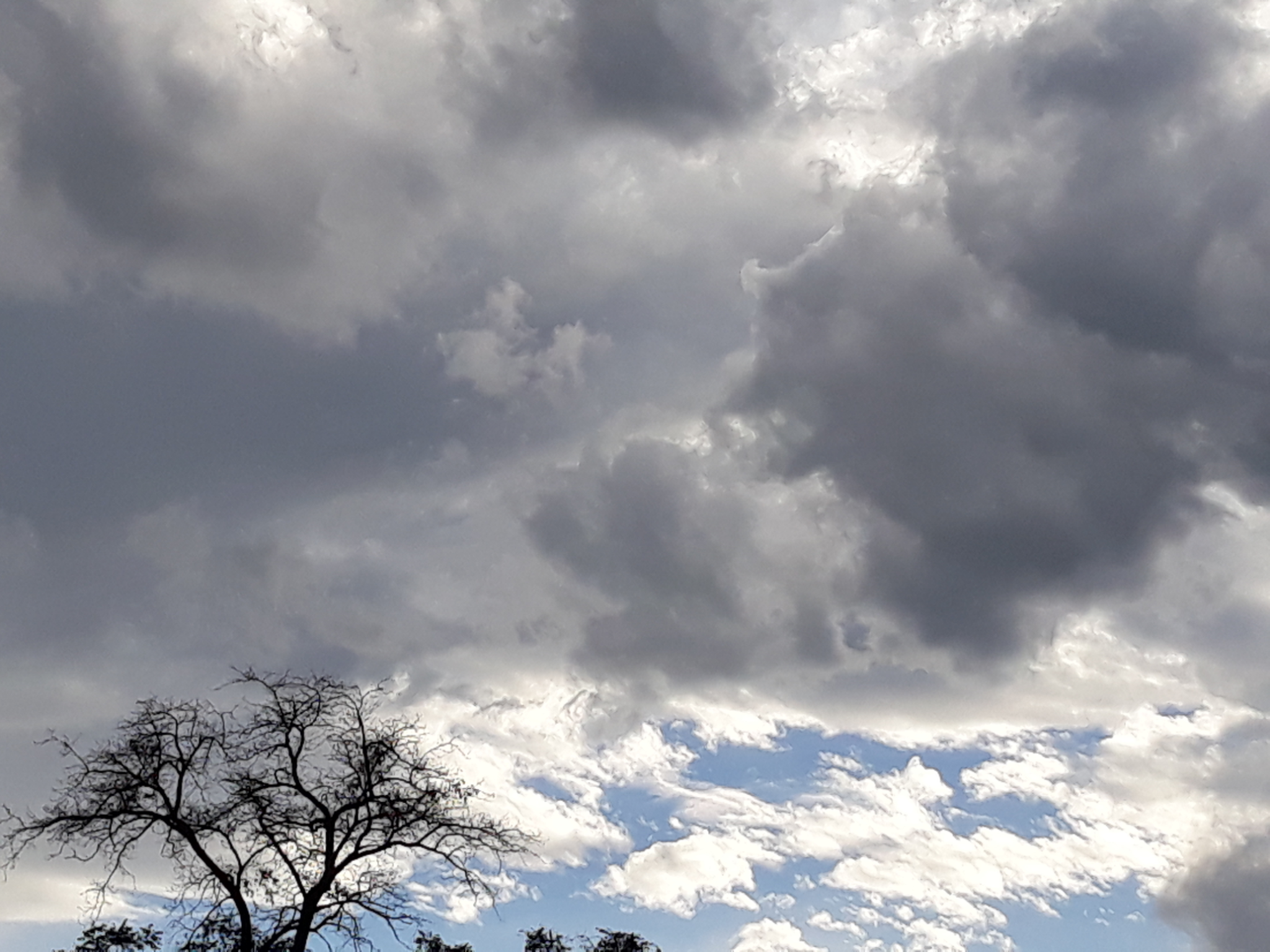 She Wanted Storms artist reference photo