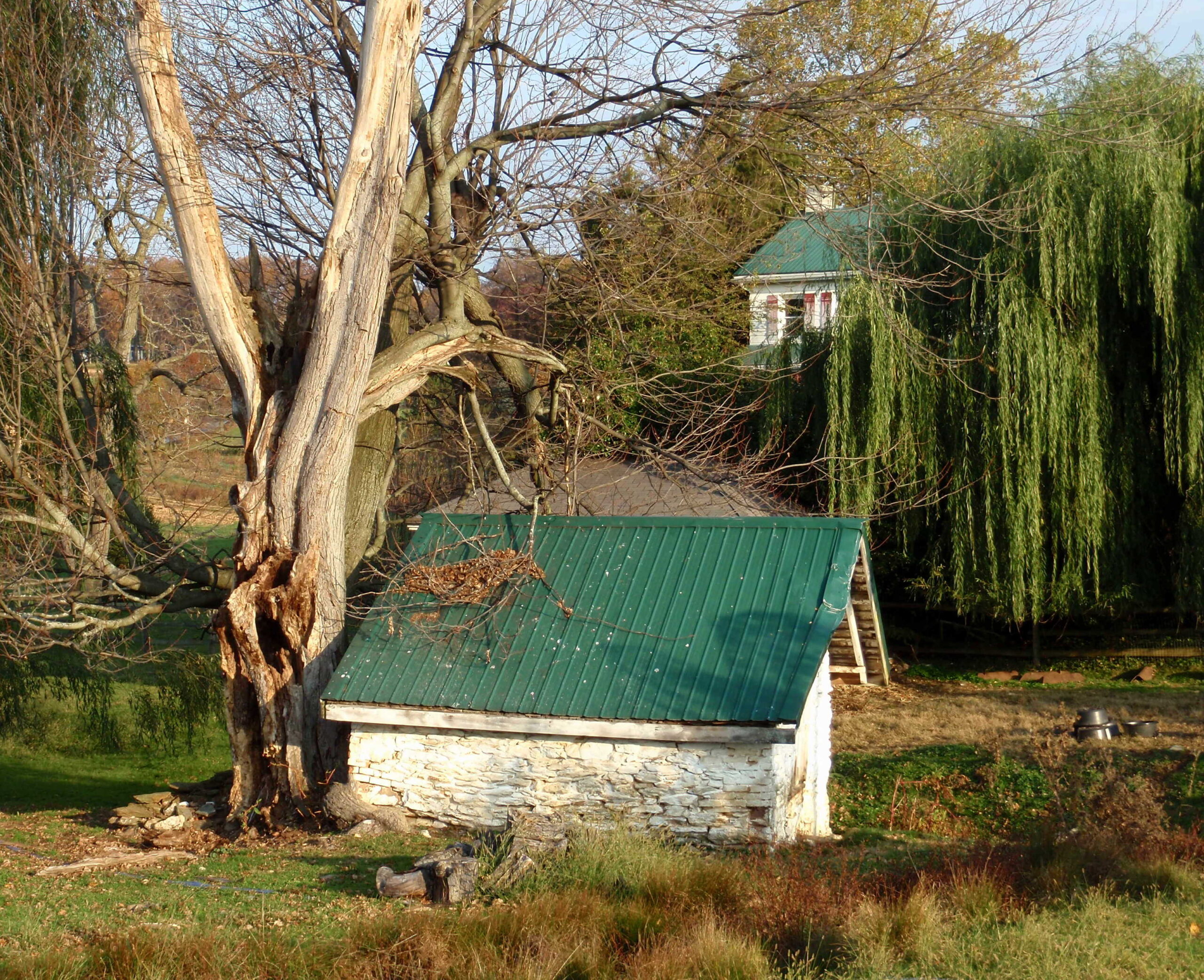 Countryscape artist reference photo