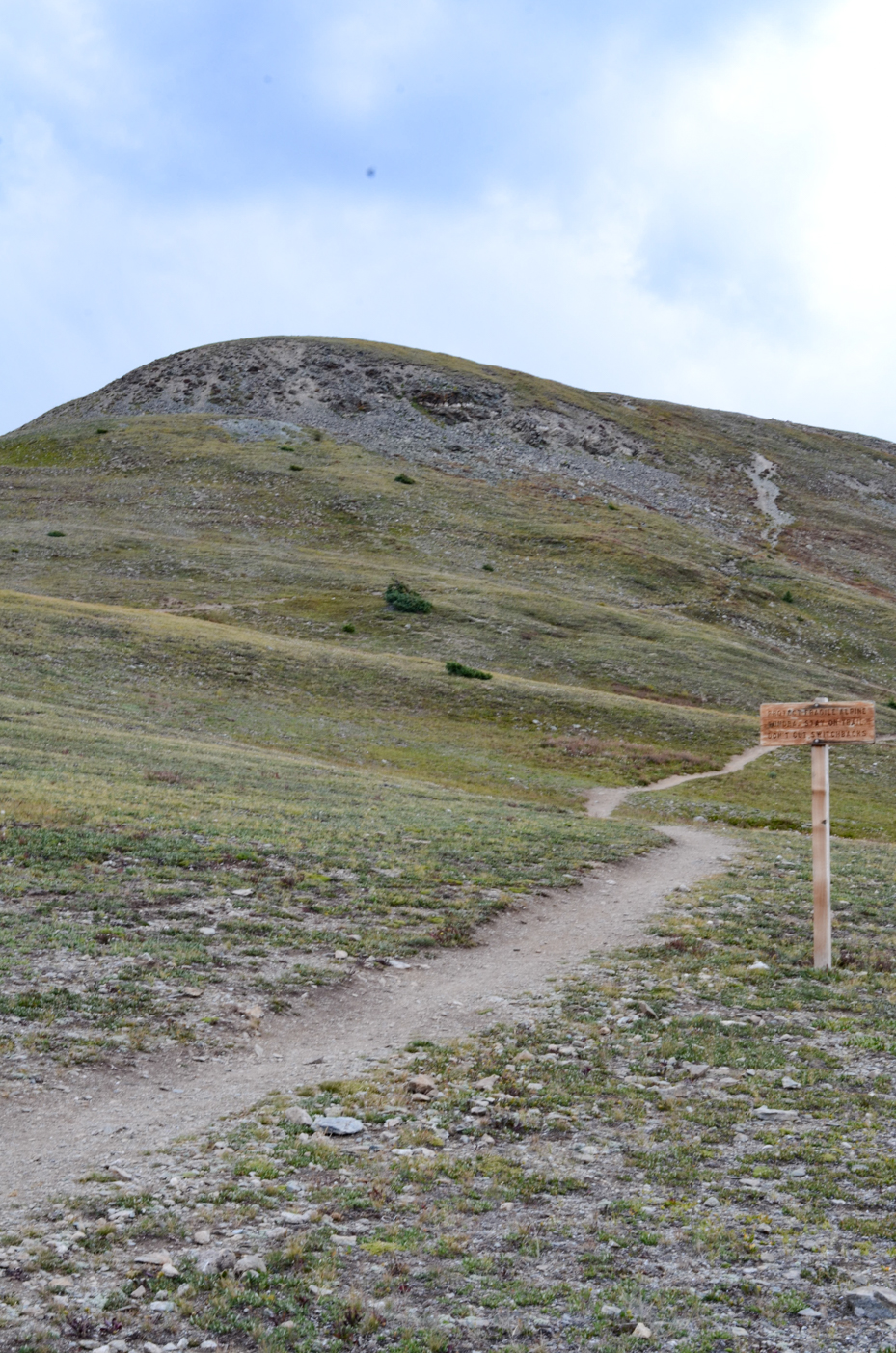 alpine-trail-mountain-path-colorado